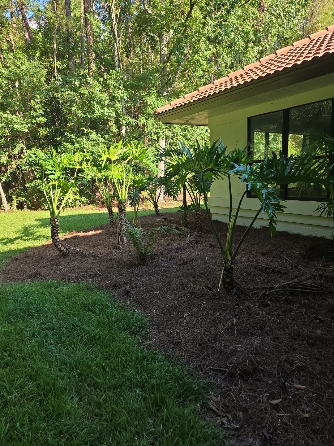 Deerwood Resident | Landscape Update by ProGreen Services