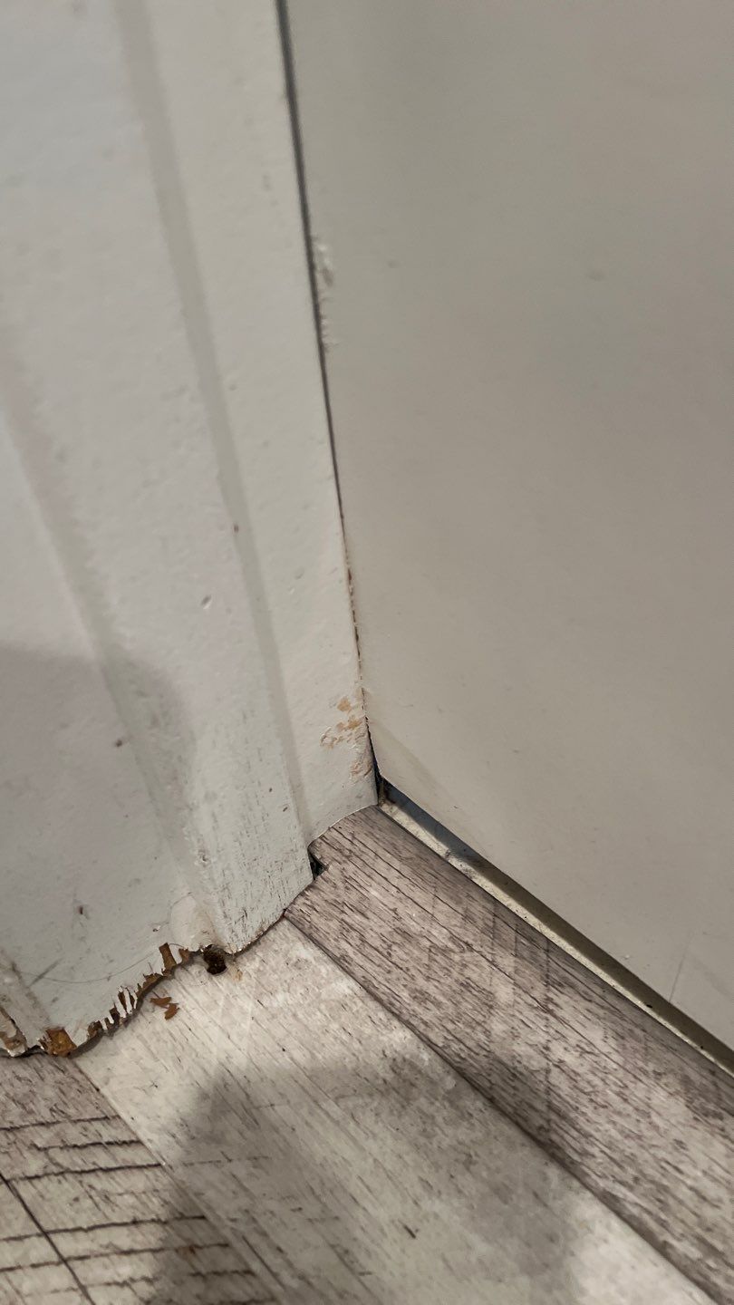 Water Damage and Mold Remediation by Accountable Home Services