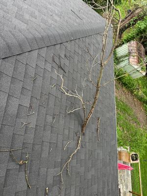 Asphalt Shingle Roof Repair After Tree Damage in Liberty