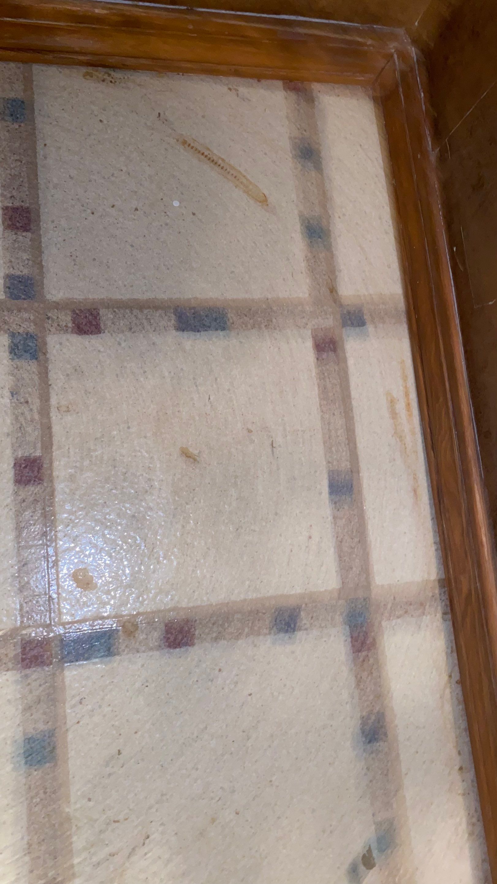 House cleaning in Lake Oswego by Cloud 9 Professional Cleaning Services