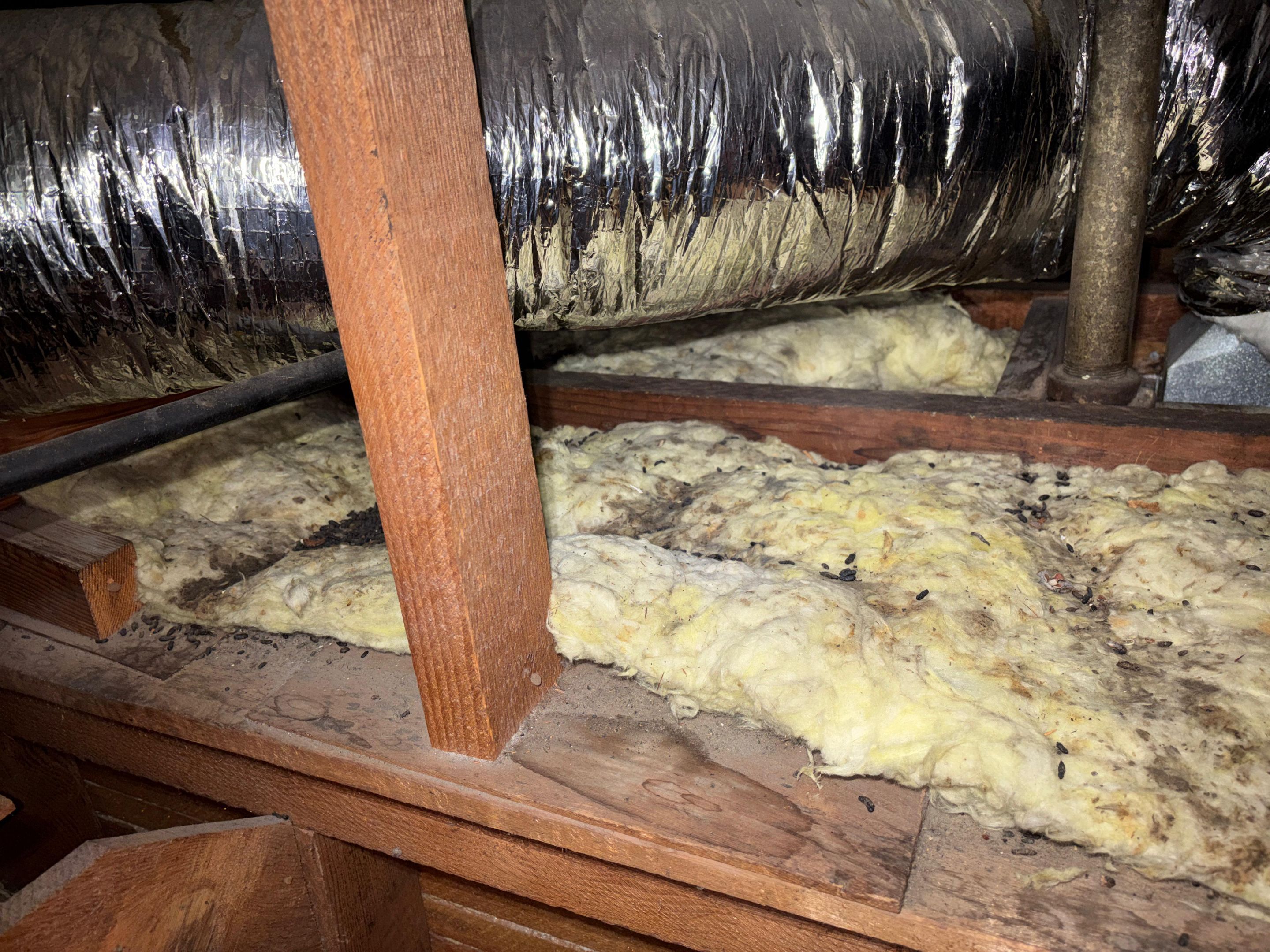 Project in Los Angeles by Insulation Labs