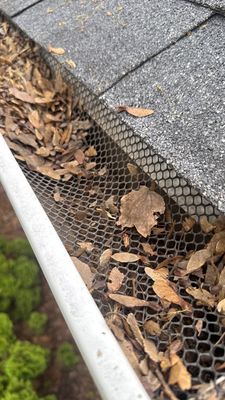 Gutter Protection for Elburn Homes