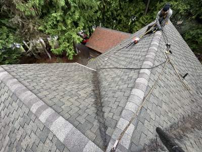 Residential Roof Cleaning in Kingston, WA