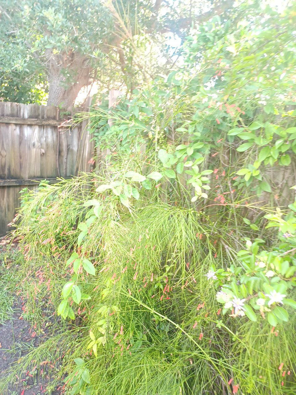 Bradenton, FL 6ft. White Vinyl Privacy Fence by Asap fence and gates, LLC