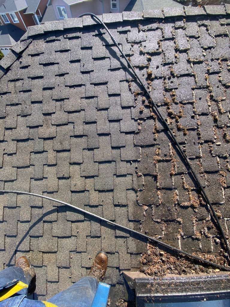 Roof Cleaning – Everett, WA by Everpro Construction