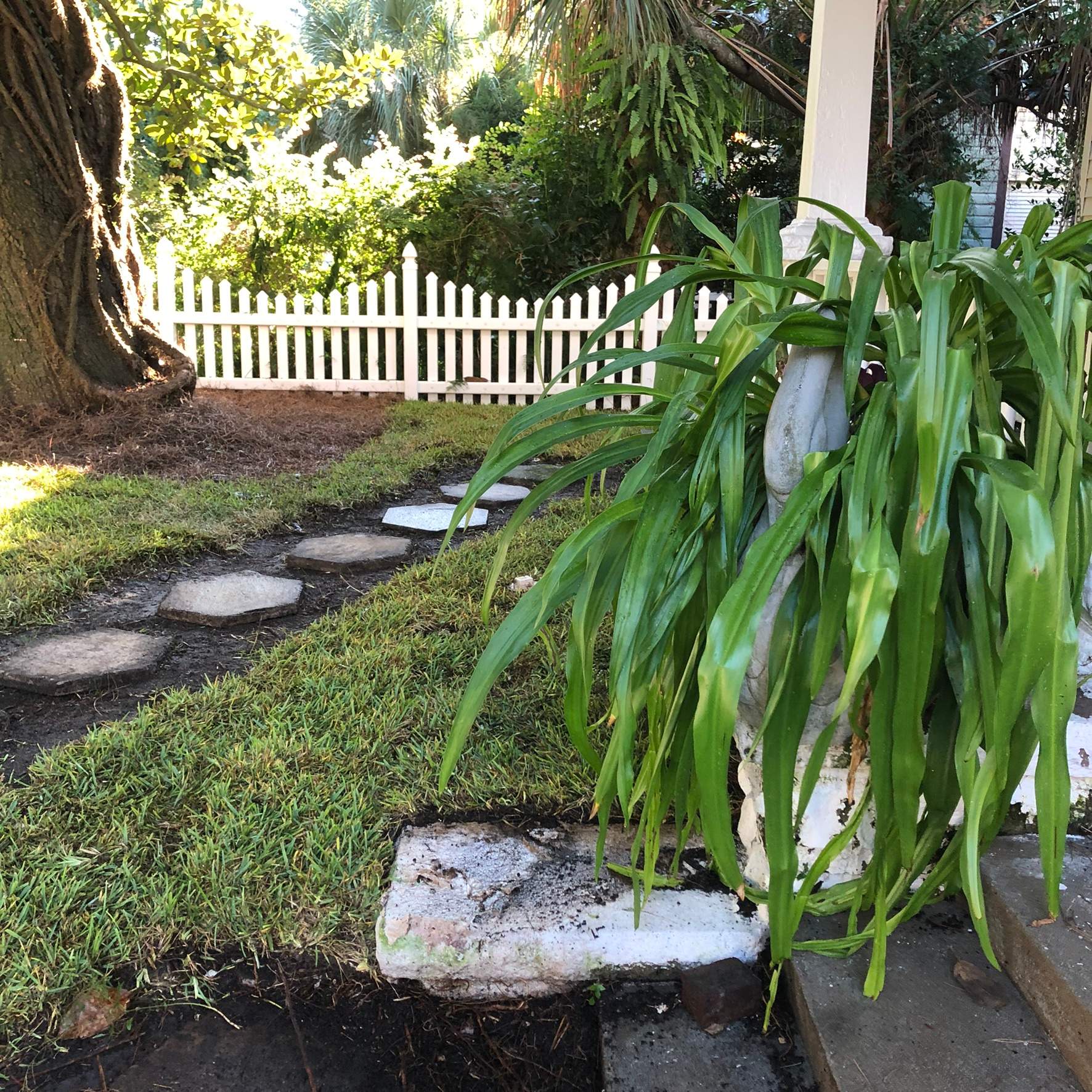 Extreme Clean Up - Landscape Install | Residential by ProGreen Services