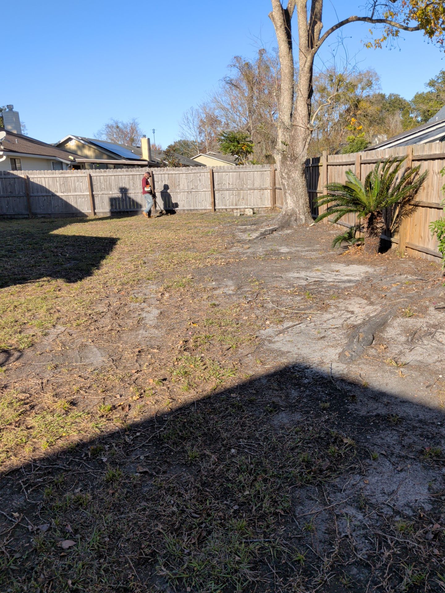 Residential Leaf Removal Service — Westside Jacksonville by Harmoni Home Services