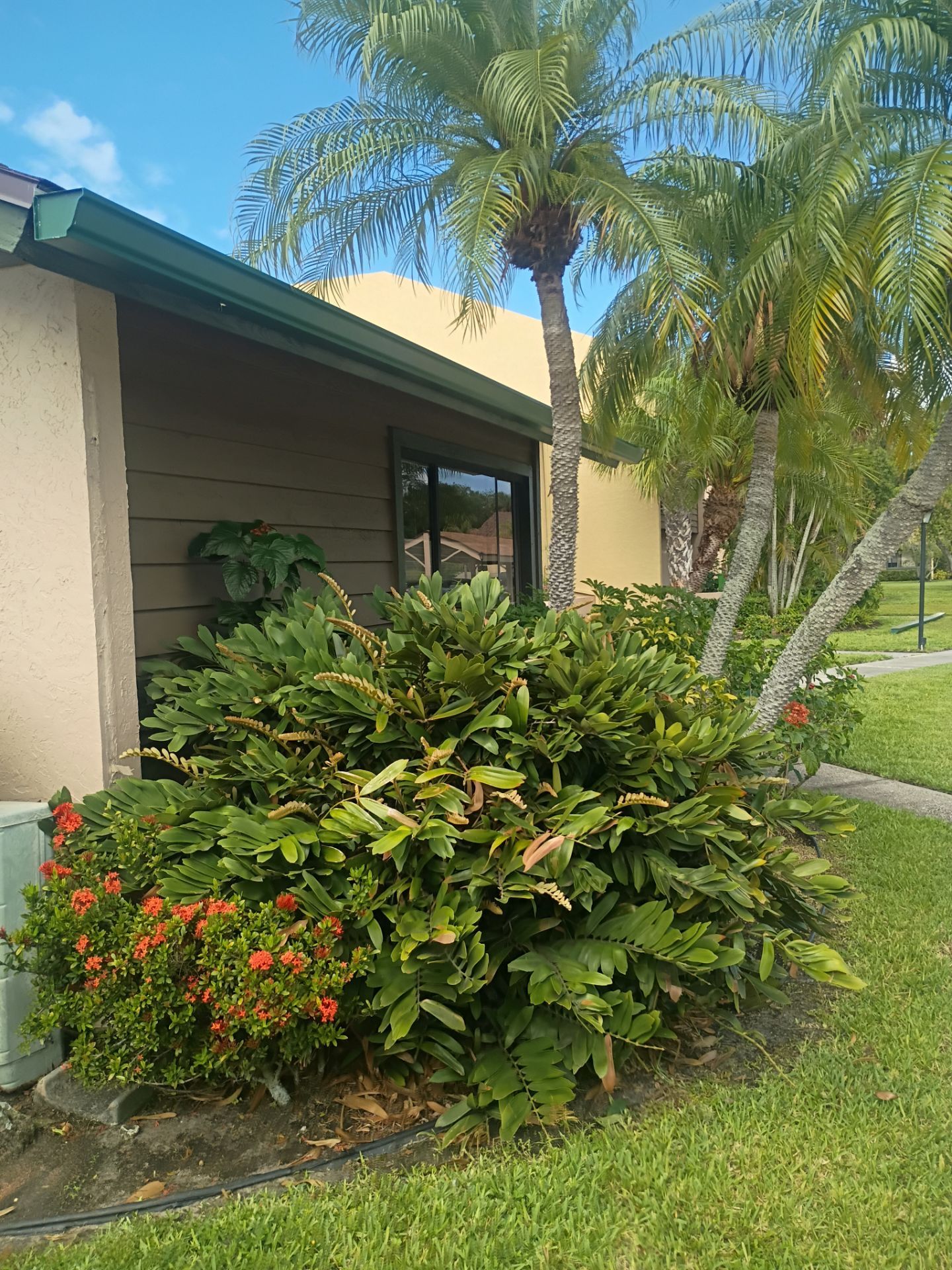 Leaf Guard using Gutter Guards & 3X4Downspoutsts in Sarasota FL by Gutter Professors