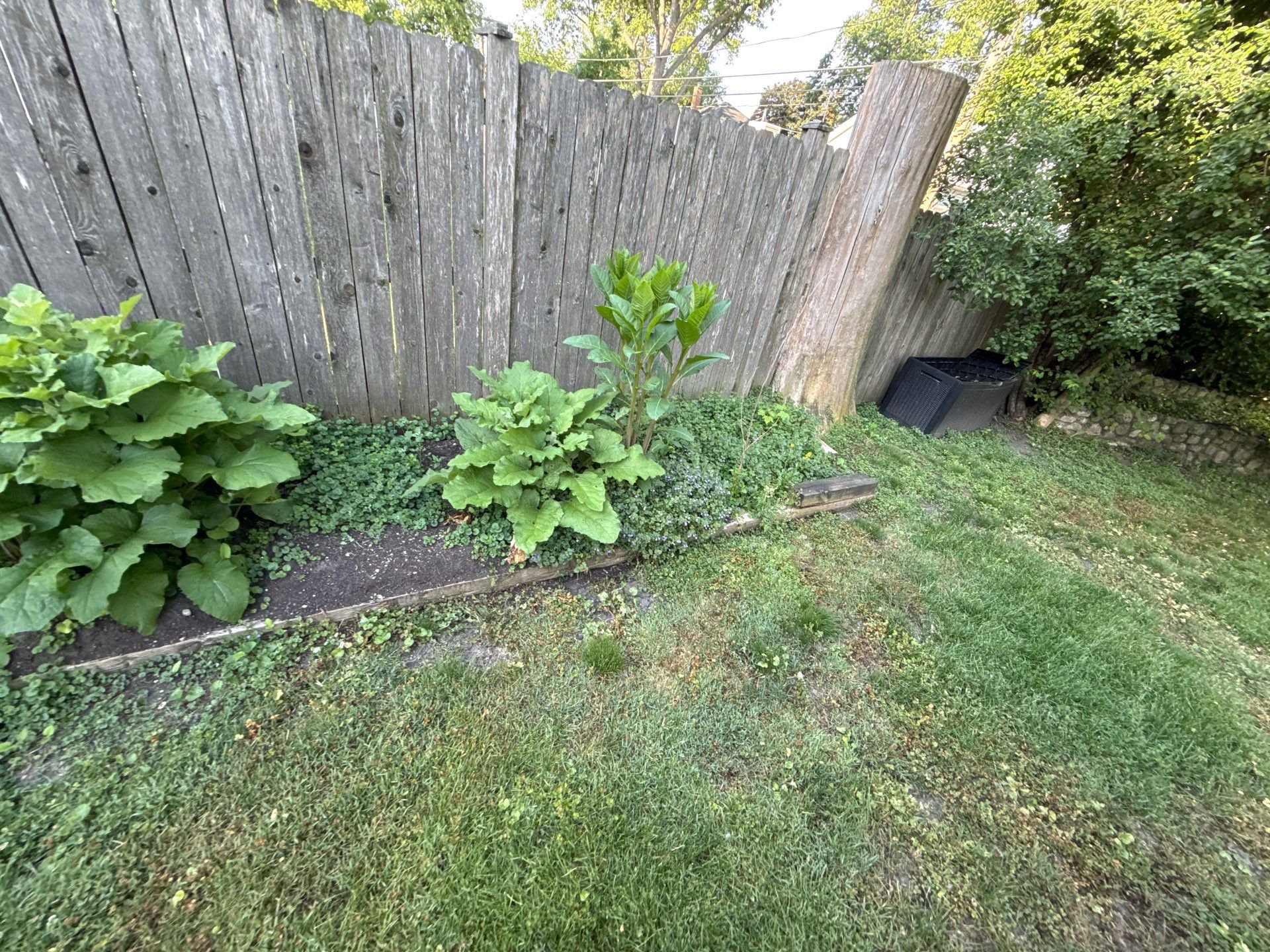 Bryan, F. - Arlington Heights, IL  by A&N 