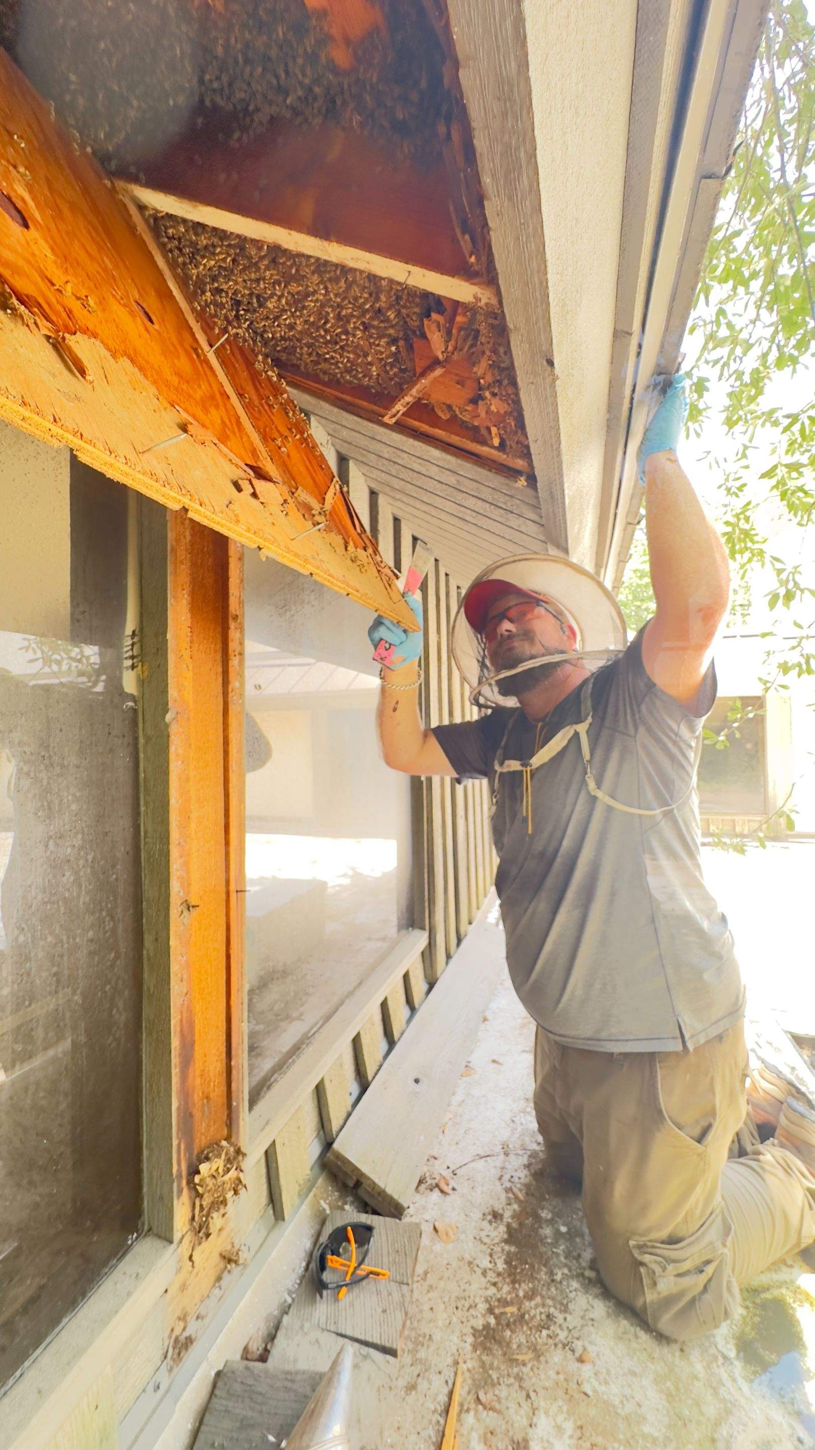 Old Faithful by Rockwall Honey Bee Company