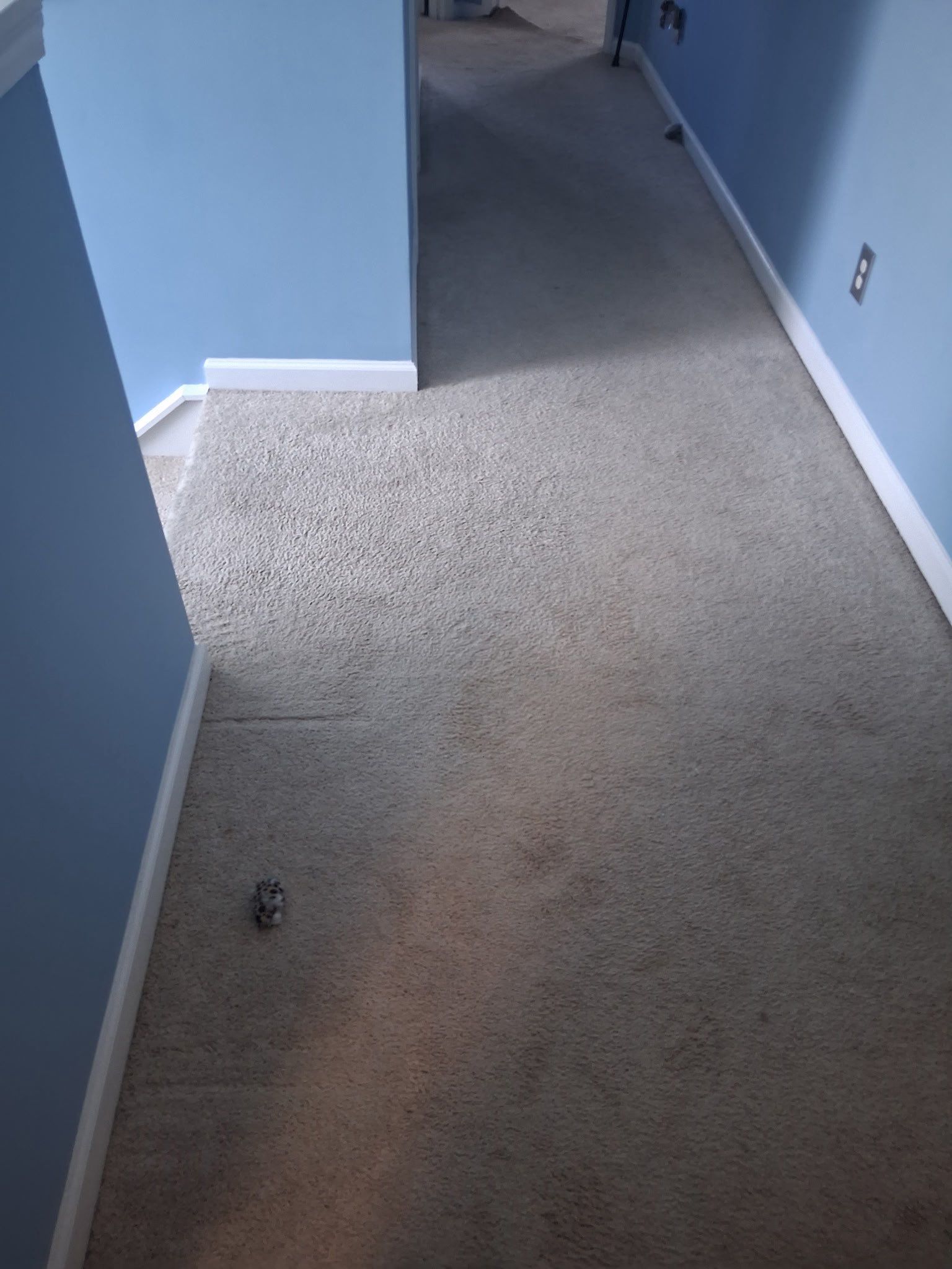 Project 51 by FMP Flooring