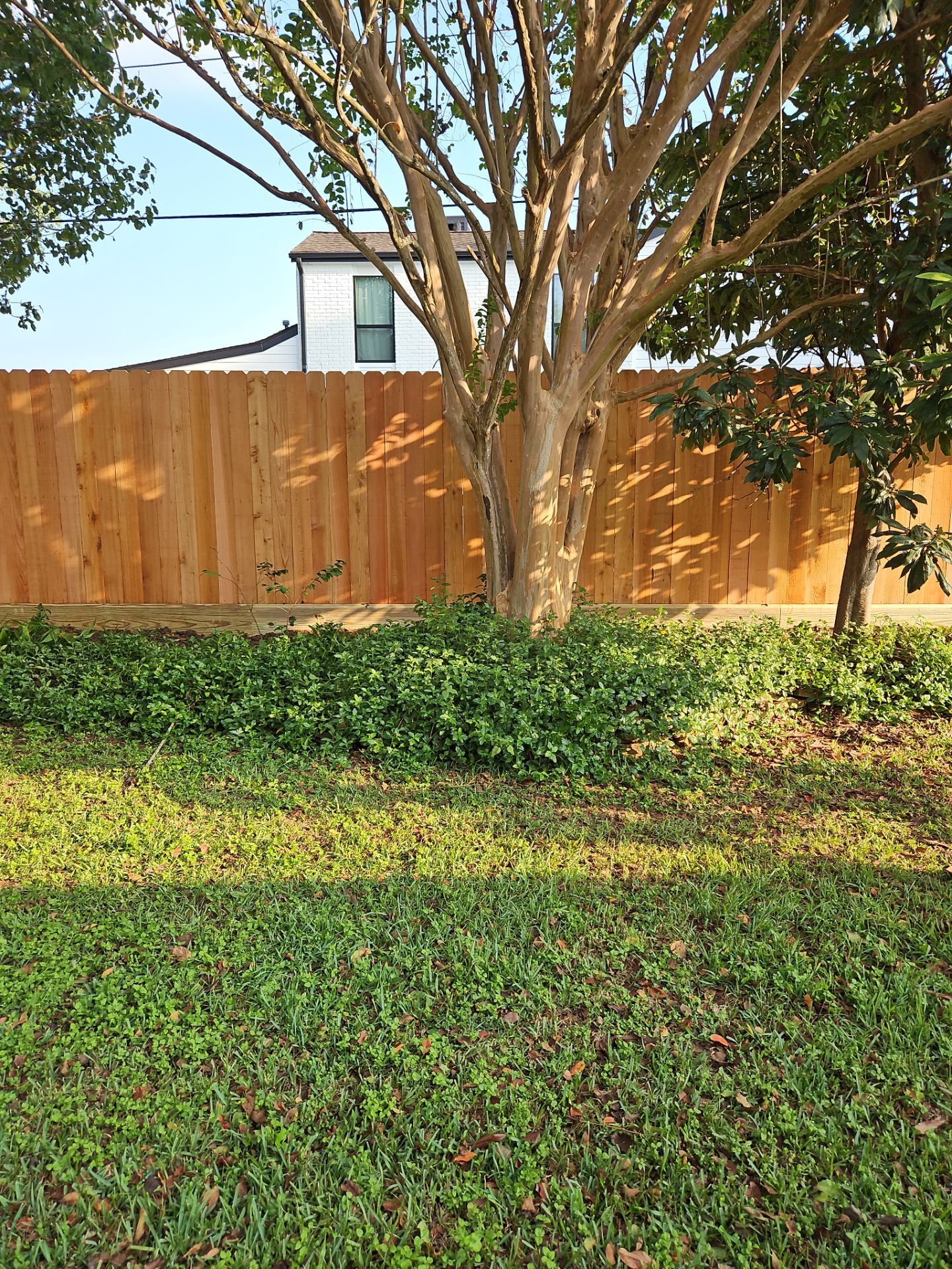 Poolside Perfection by Tim's Fences