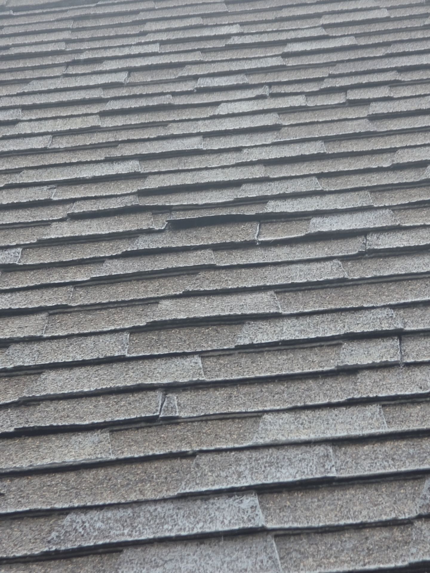 Roof Rejuvenation using Roof Maxx Treatment by Roof Maxx of Folsom