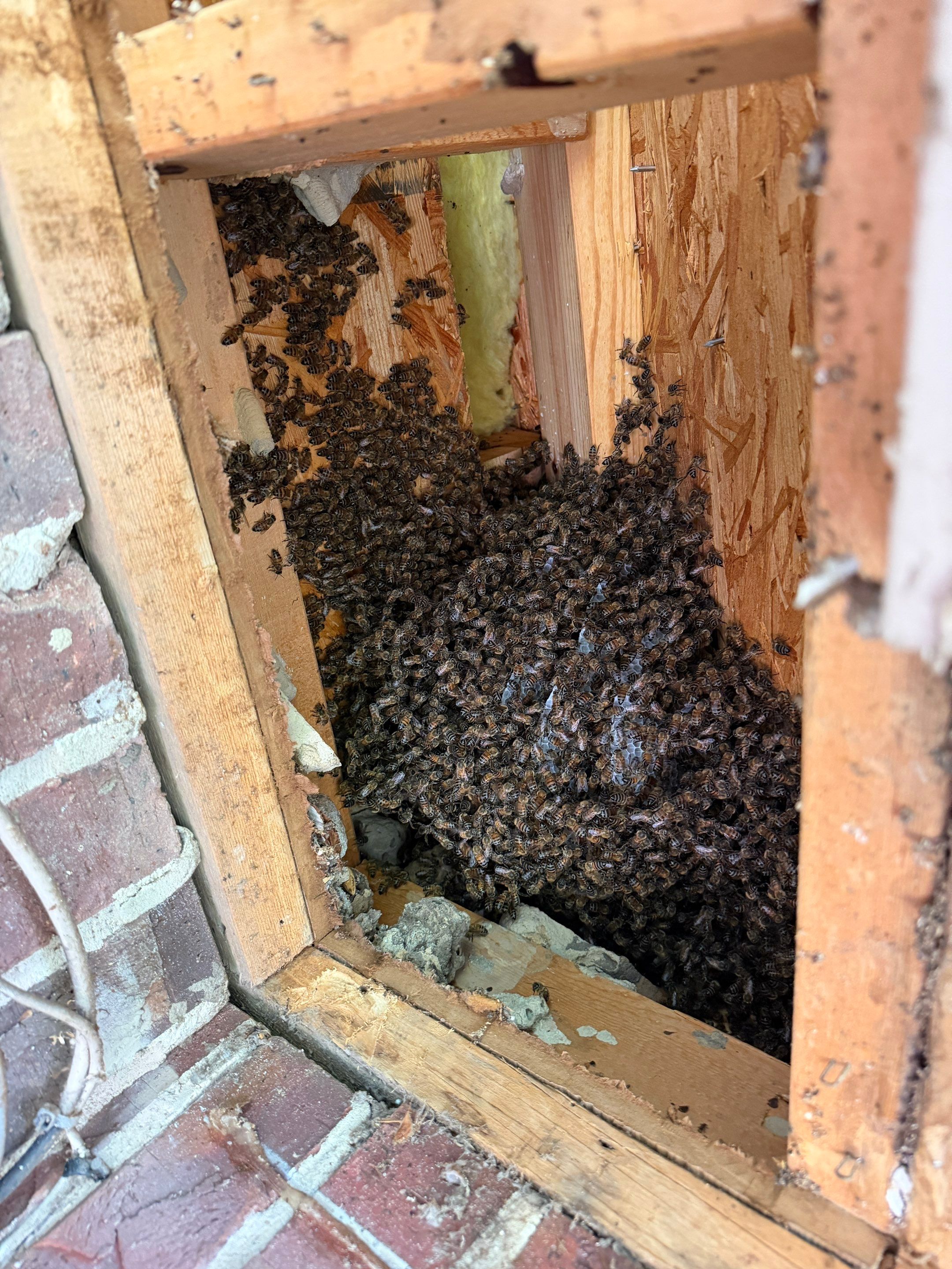 Project in Heath, TX by Rockwall Honey Bee Company