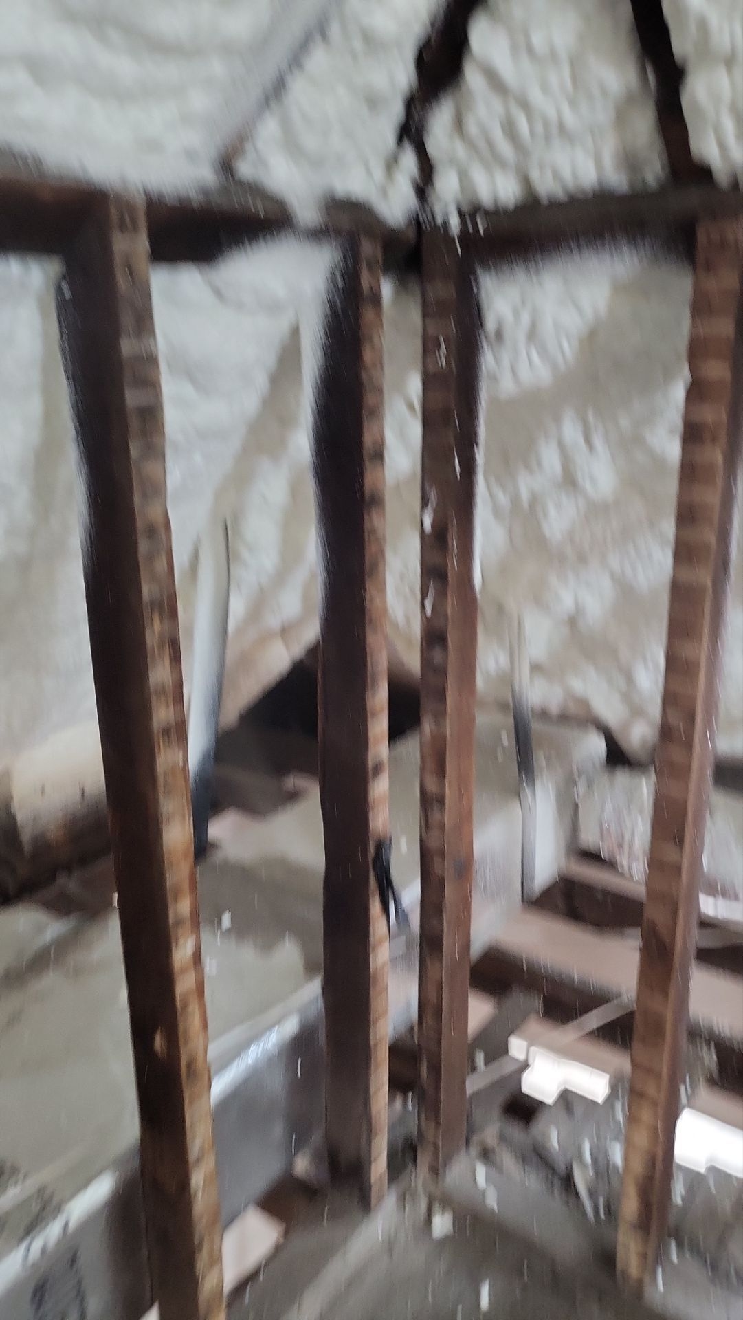 Interior spray foam application by SPF Services 