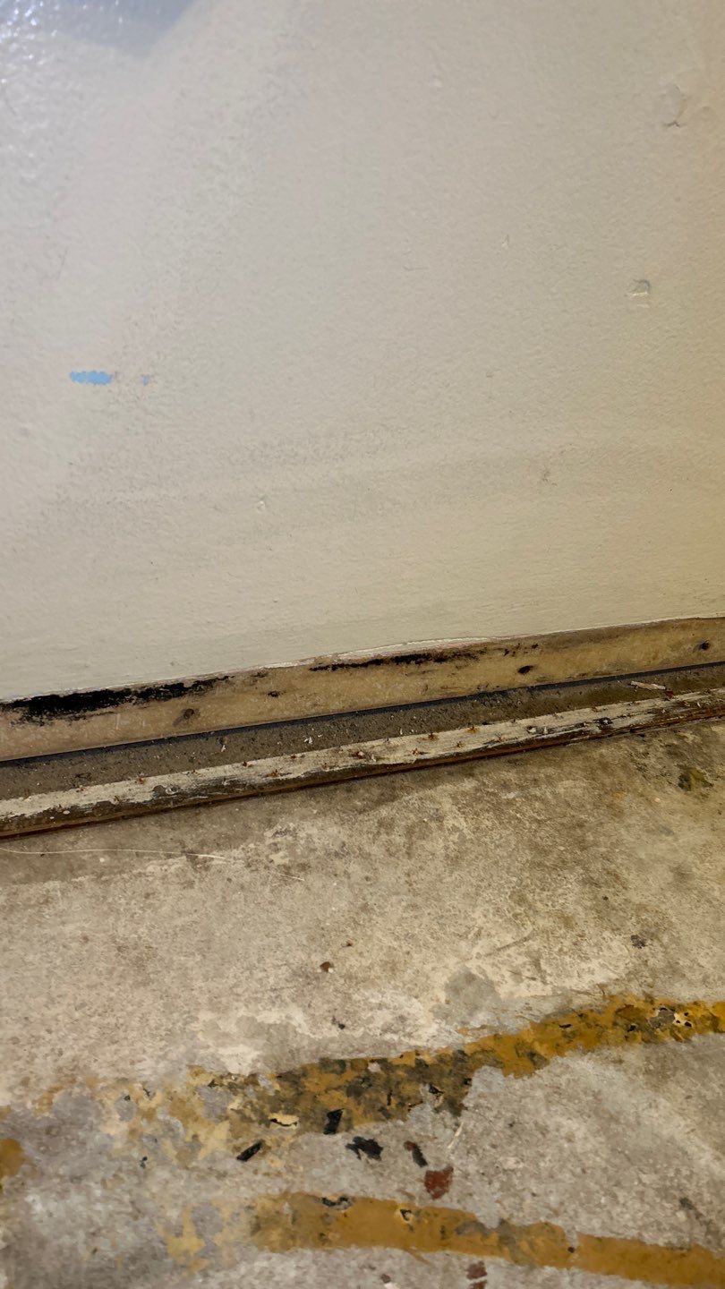 Mold Remediation by Accountable Home Services