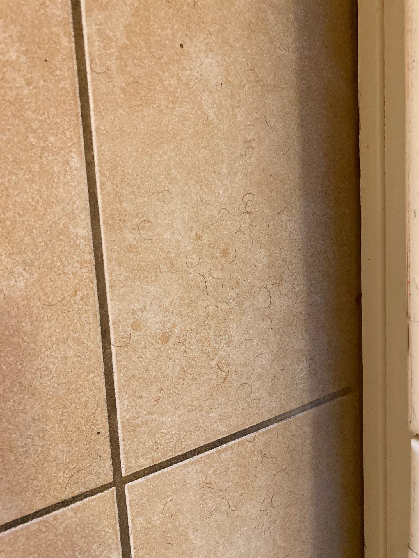 House cleaning in Lake Oswego by Cloud 9 Professional Cleaning Services