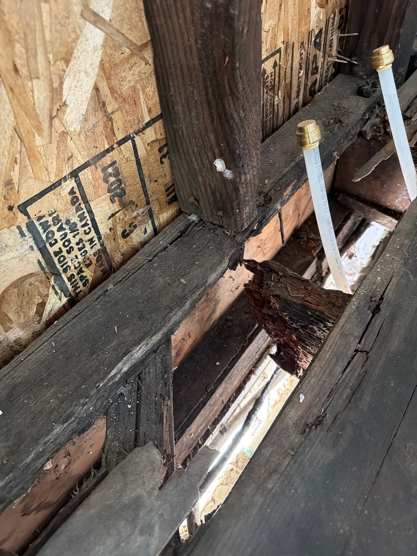 Dry Rot Repairs by Handyman State LLC