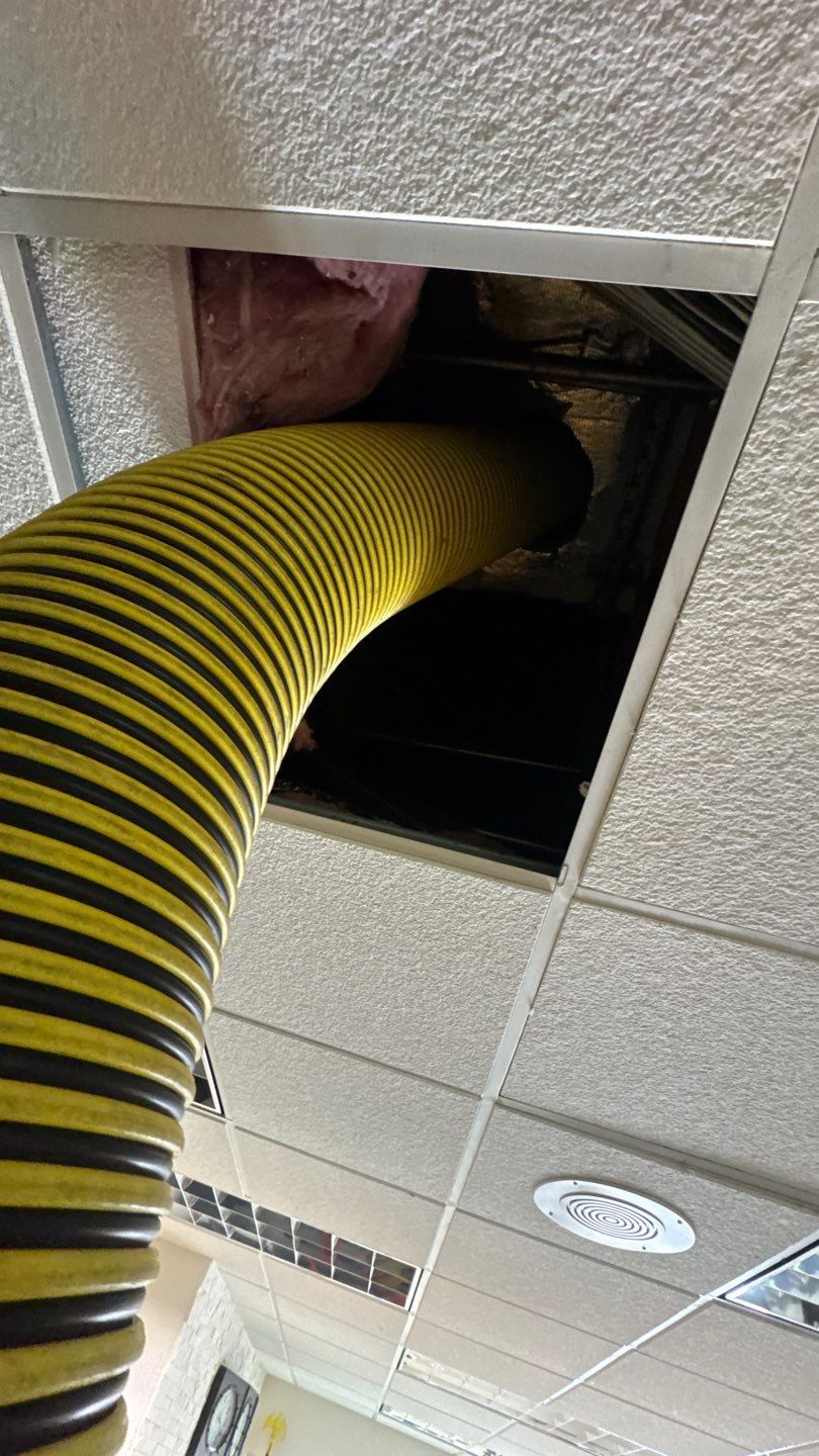 Commercial Air Duct Cleaning in Windermere by Hygienic Air, Inc