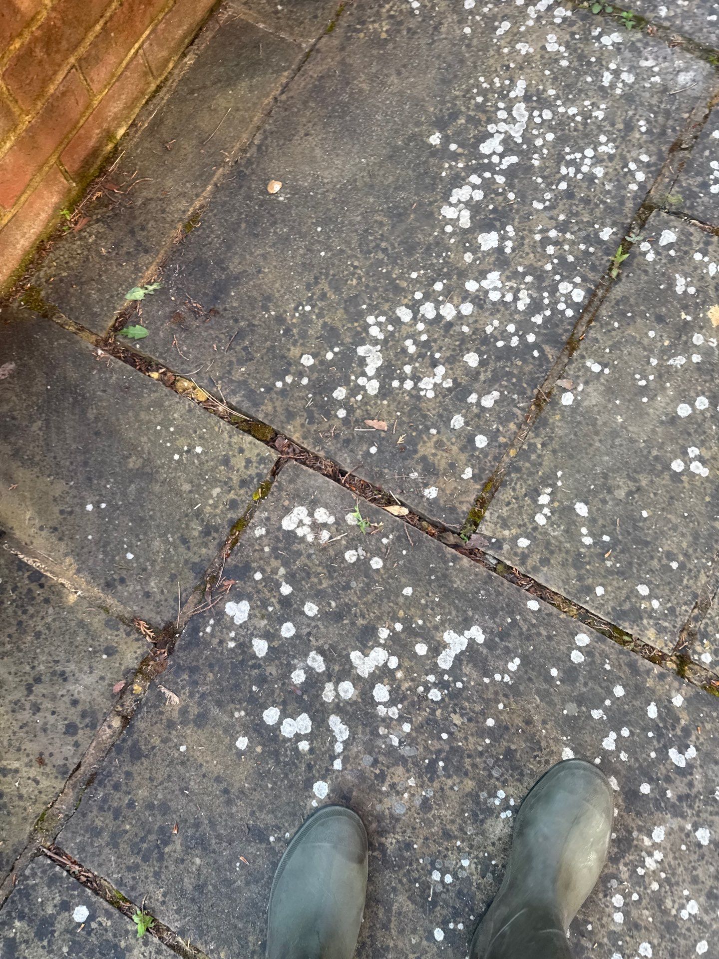 Patio Area Spring Clean using 18inch Whirlaway FSC by Ges Exterior Cleaning ltd