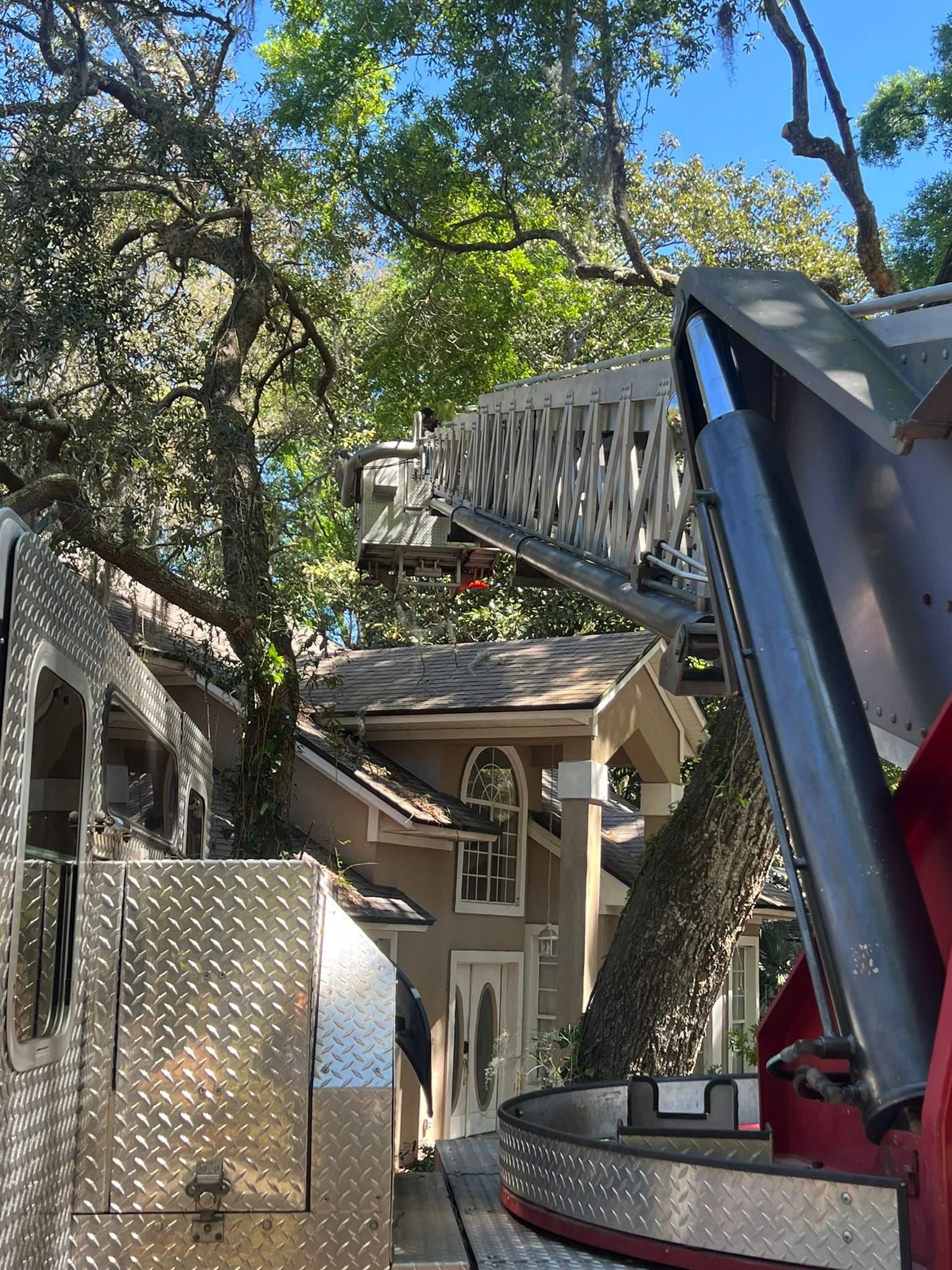 Tree Trimming | Hidden Hills by ProGreen Services