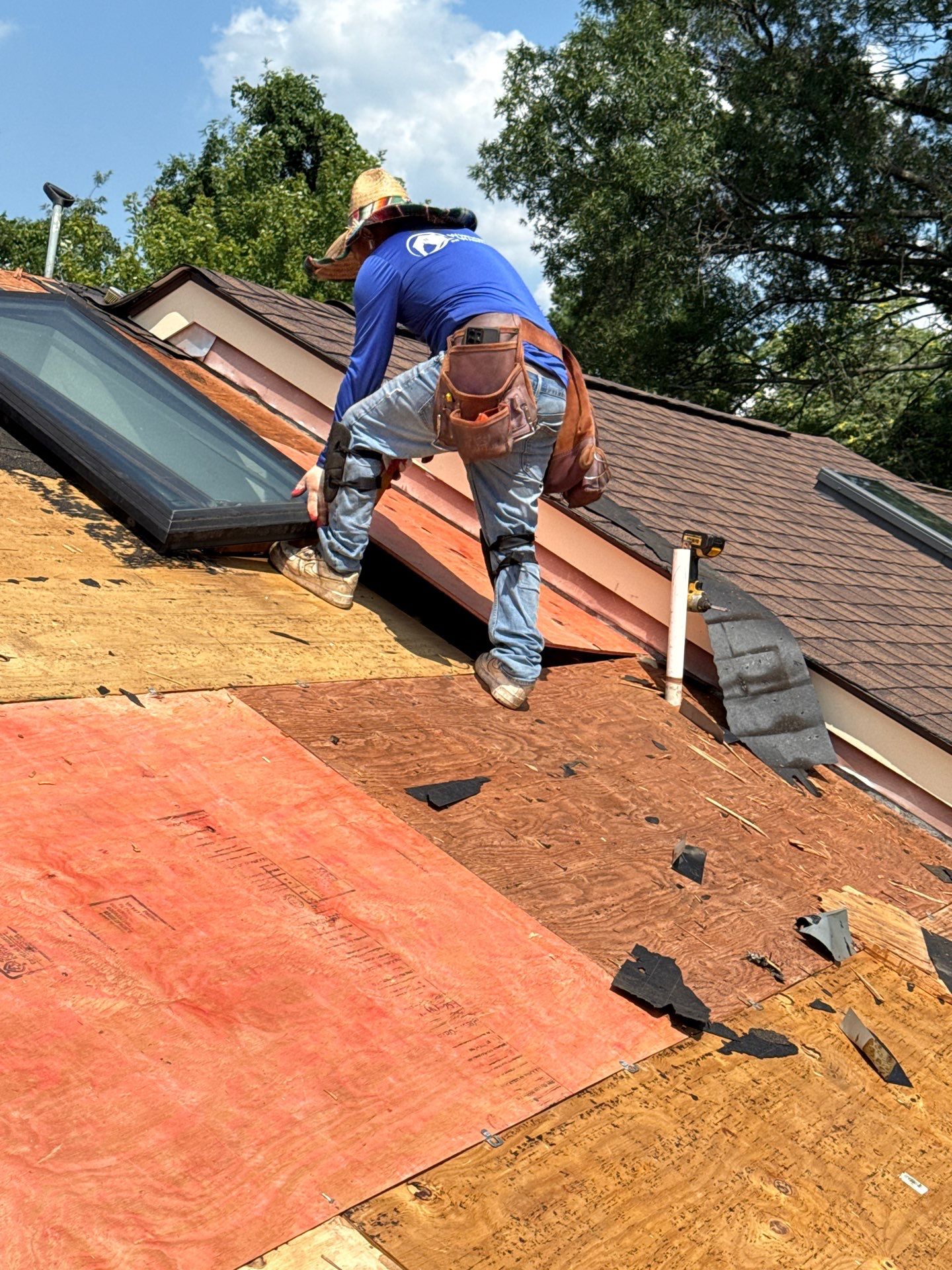 Alexandria: Residential Roof with CertainTeed Landmark Pro in Max Def Burnt Sienna by RM Banning, Inc.