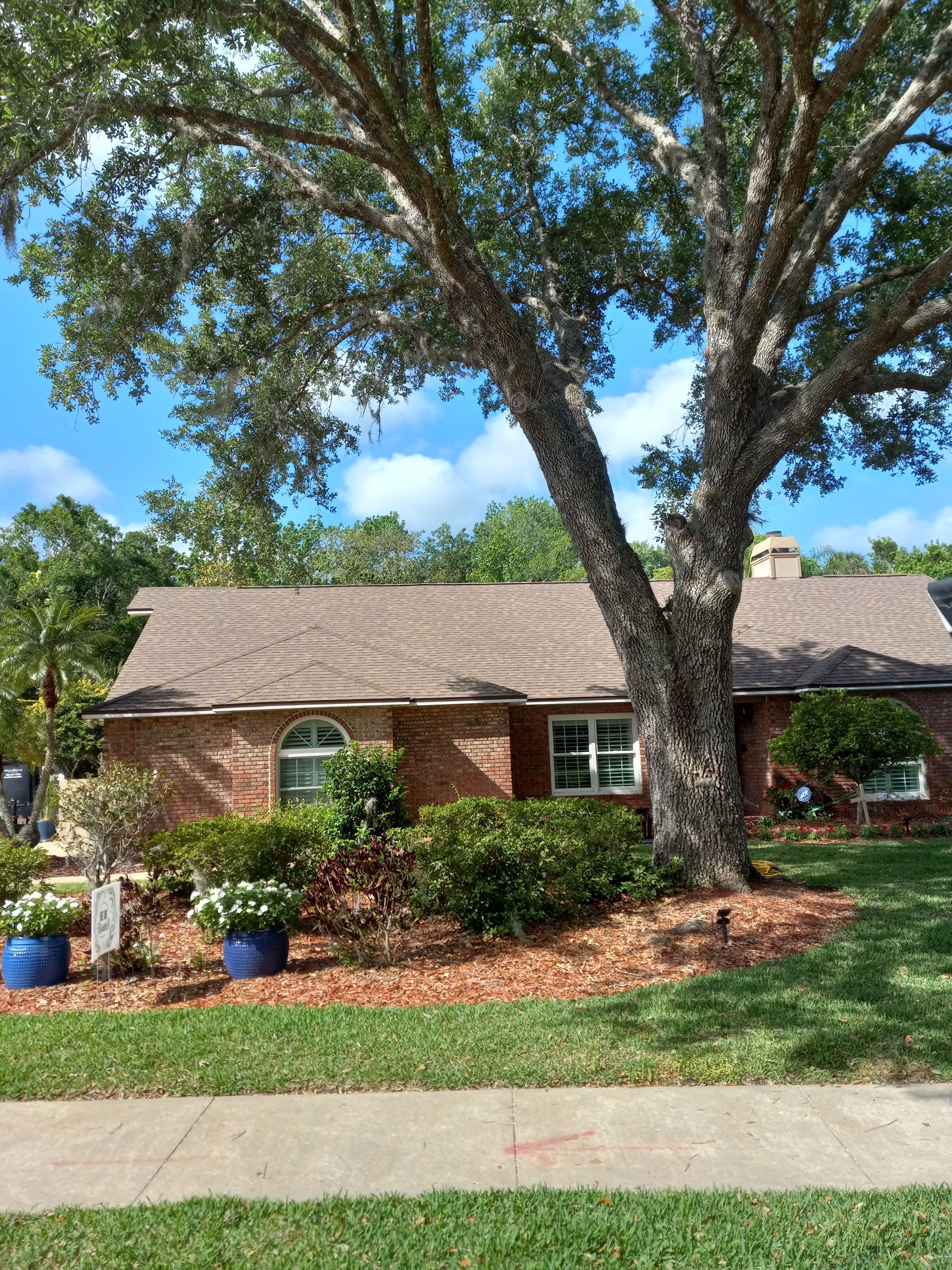Shingle Roof Replacement  by Pinnacle Roofing Group