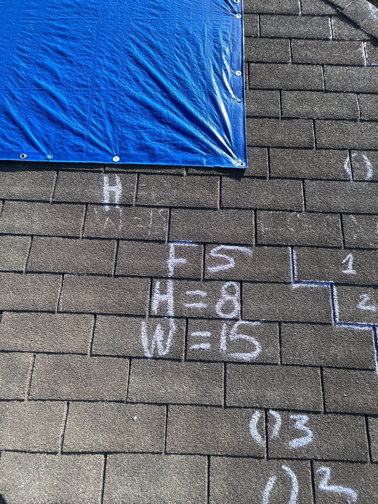 Miss Bridgette by REPS Austin Area Roofer
