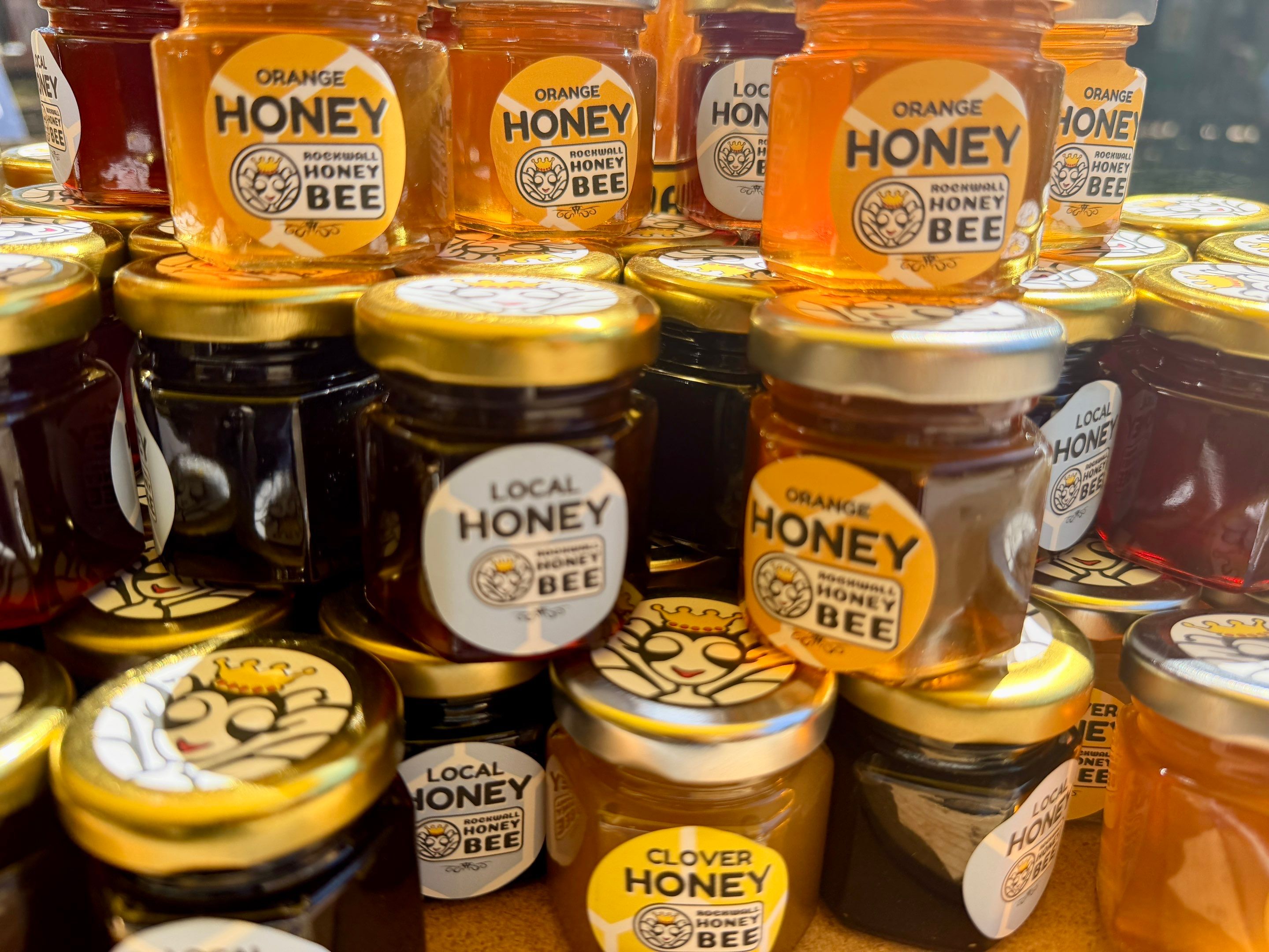 Texas Mead & Music Festival by Rockwall Honey Bee Company