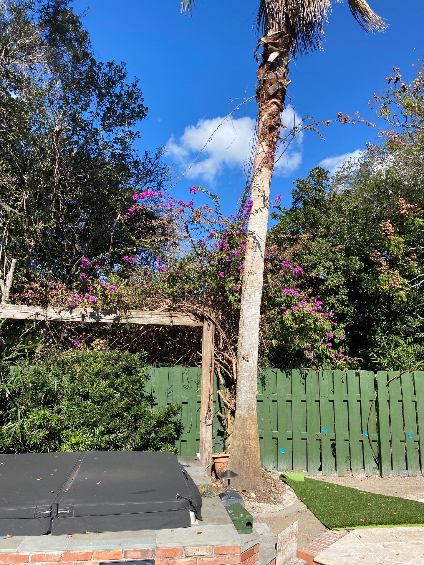 Deerwood Resident | Shrub Removal by ProGreen Services