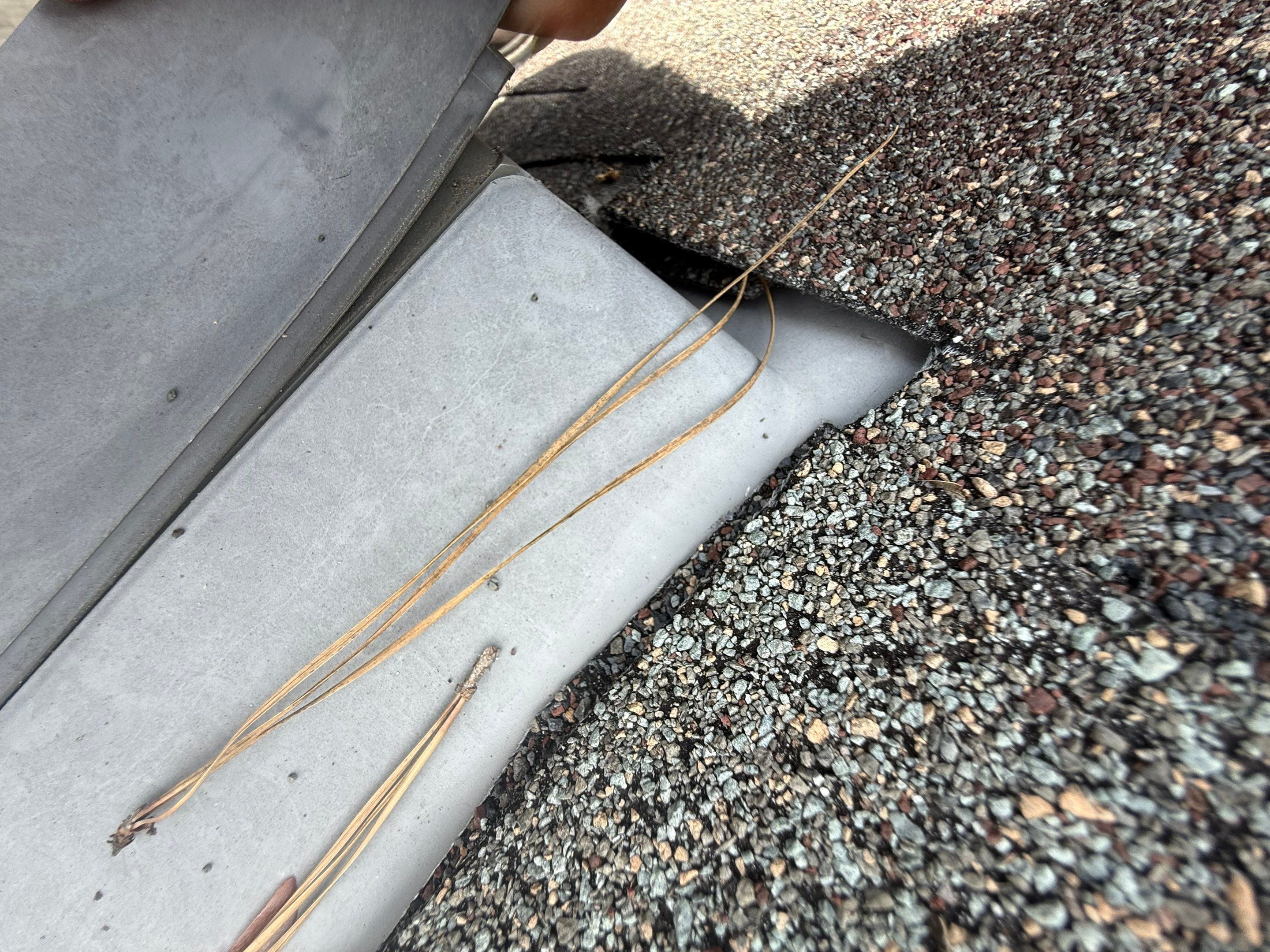 Roof Repair Spring by Roof Repair Company