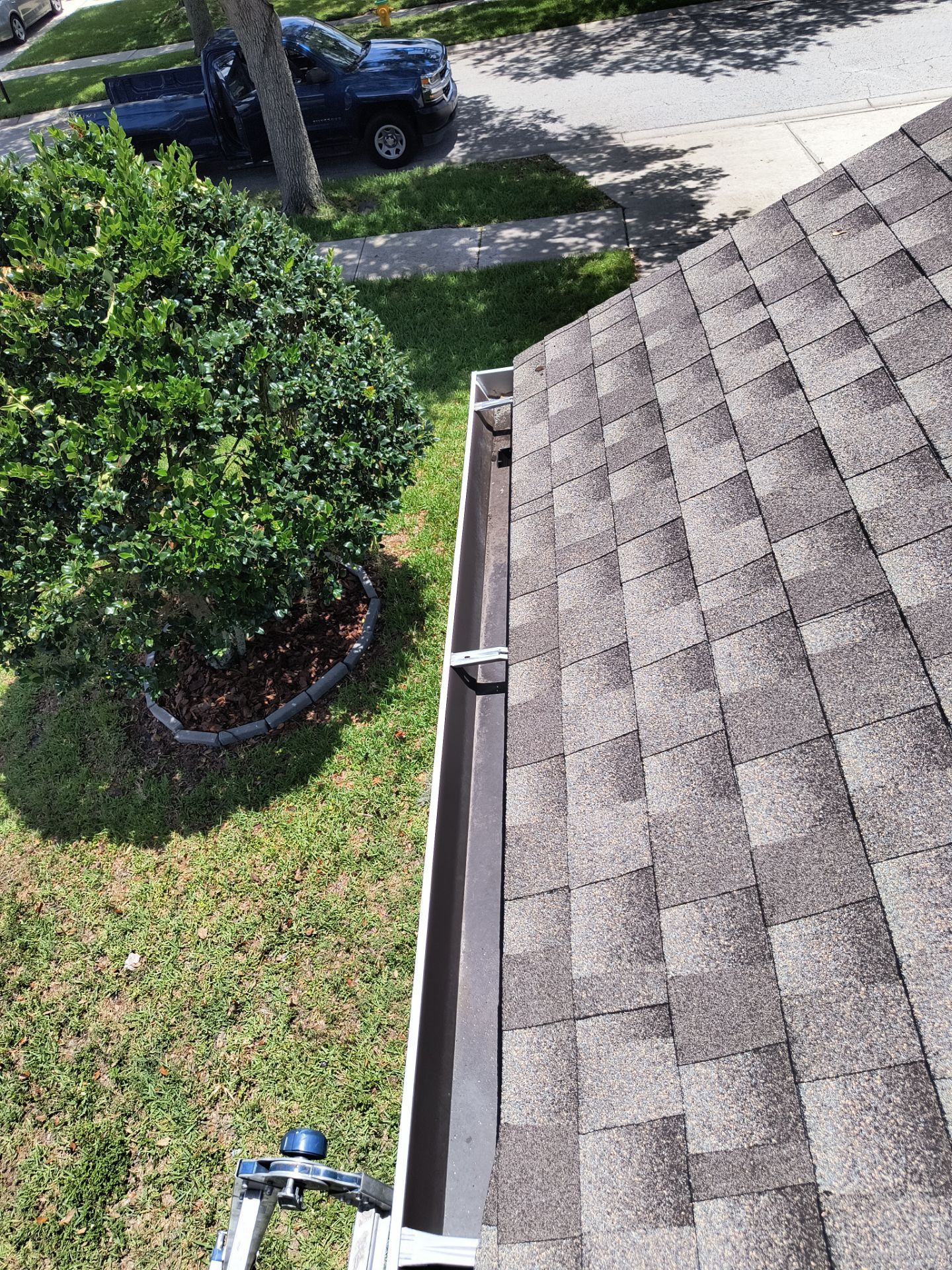 Professional Gutter Cleaning in Lutz FL by Gutter Professors