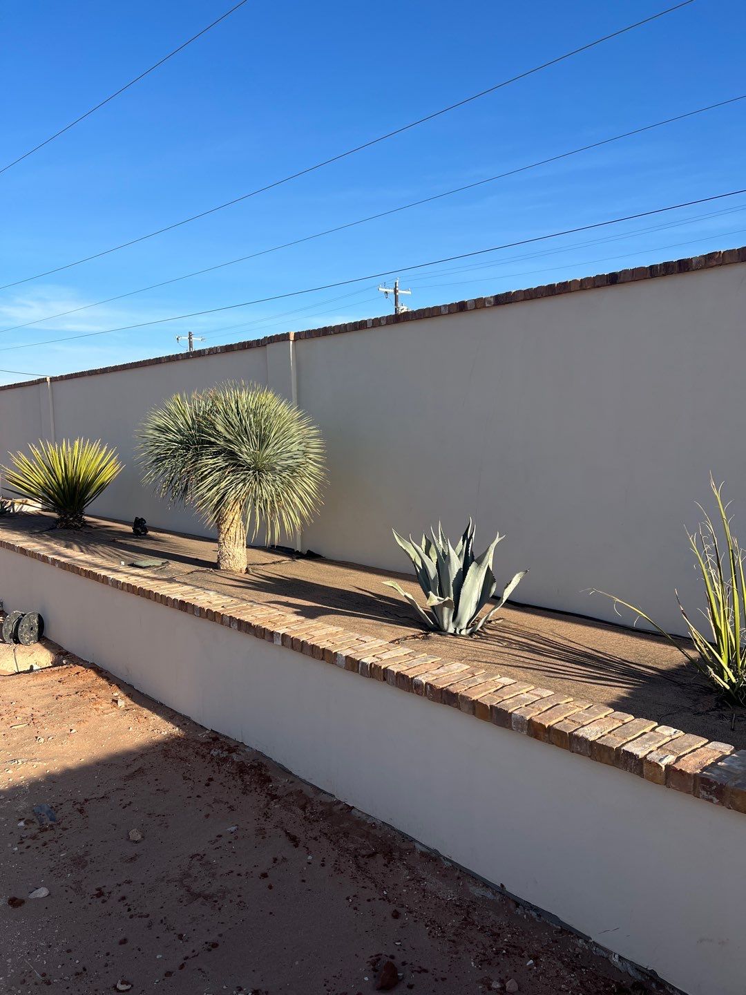 Agave Garden featured photo.