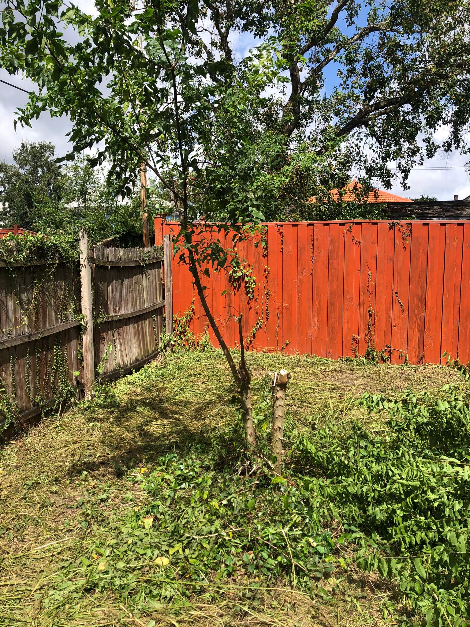 Extreme Clean Up | Riverside Area by ProGreen Services