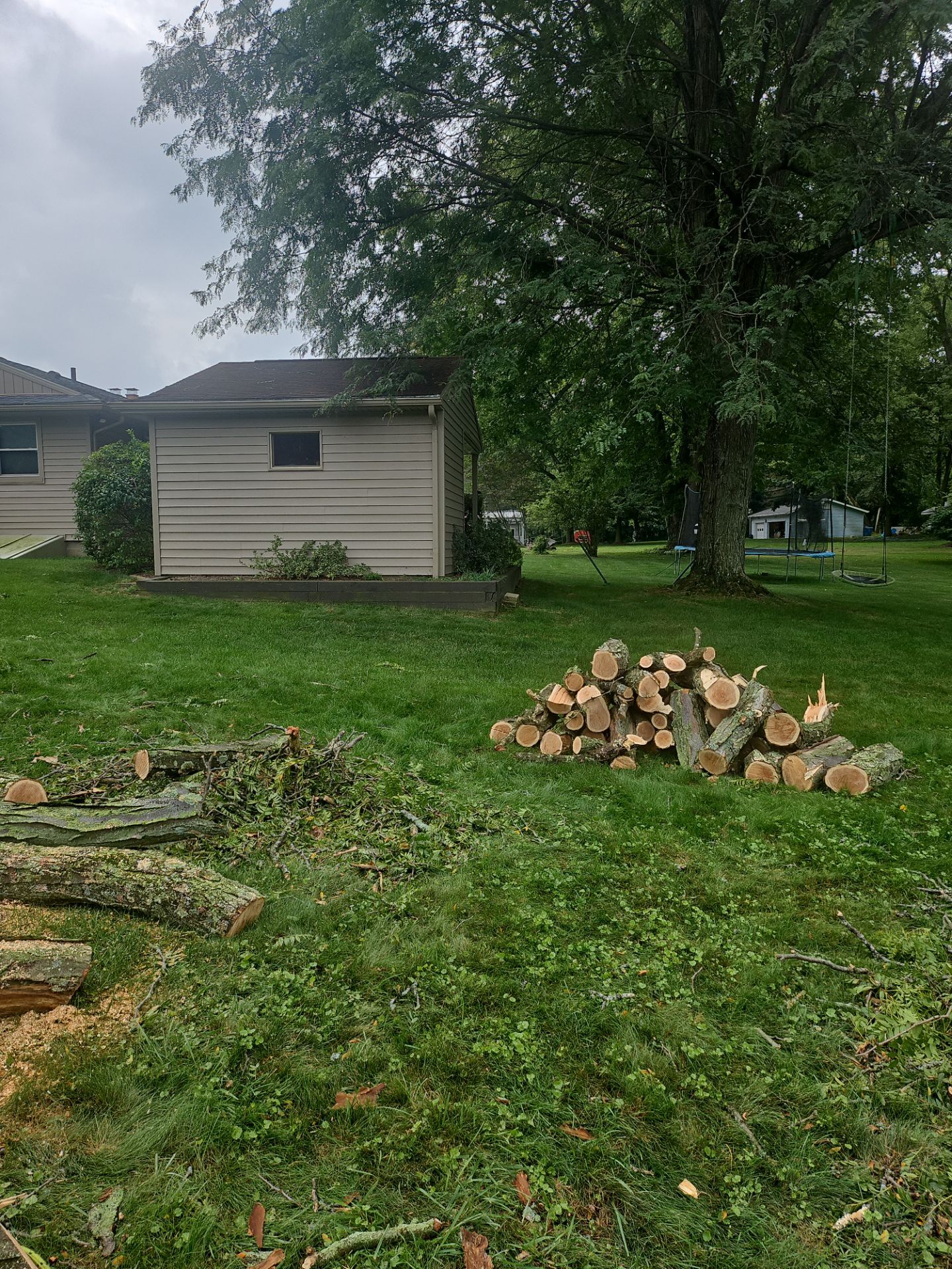 Tree Removal using Tree Removal by Mike Jones & Sons Tree Service LLC 