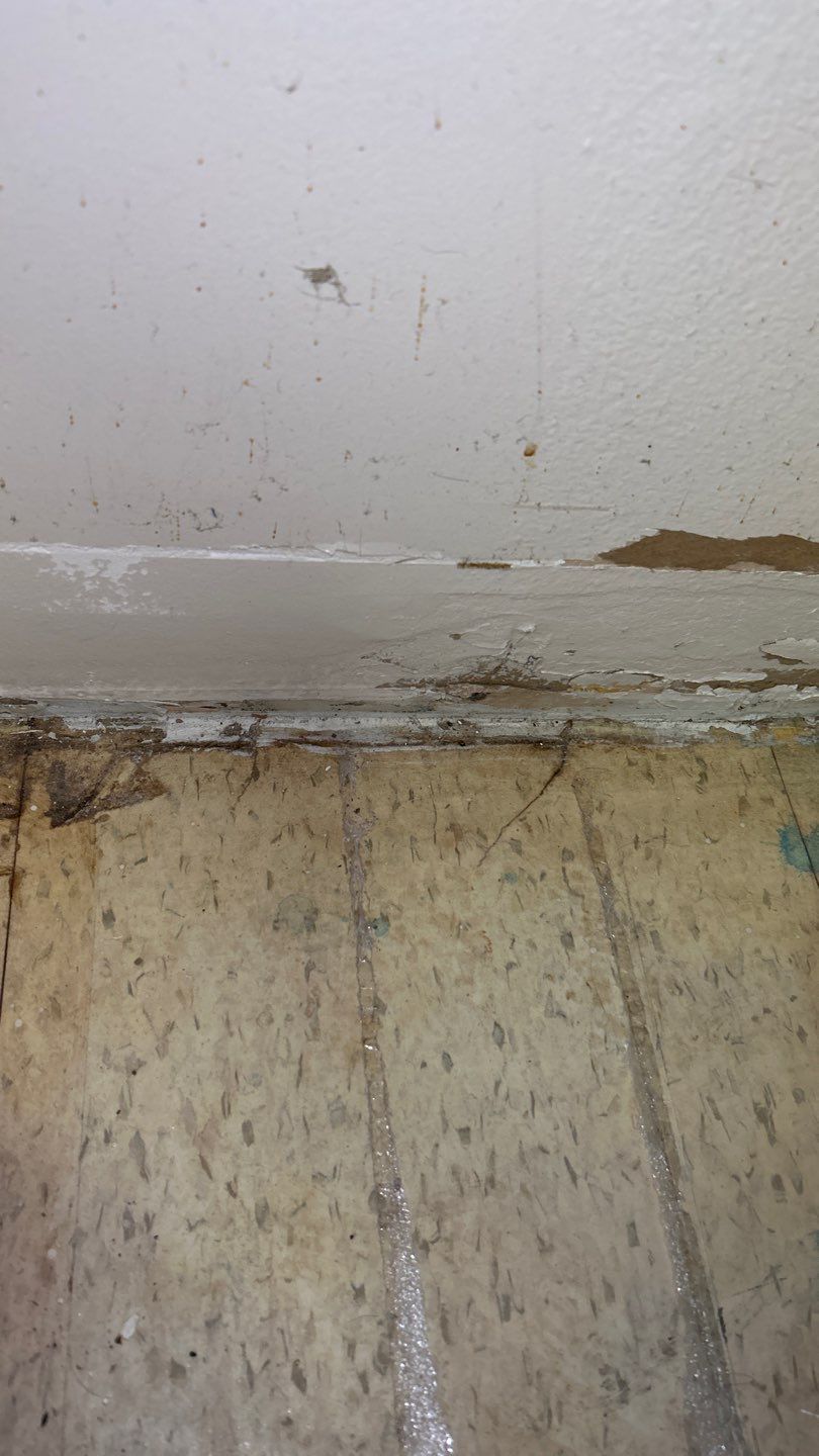 Mold Remediation by Accountable Home Services