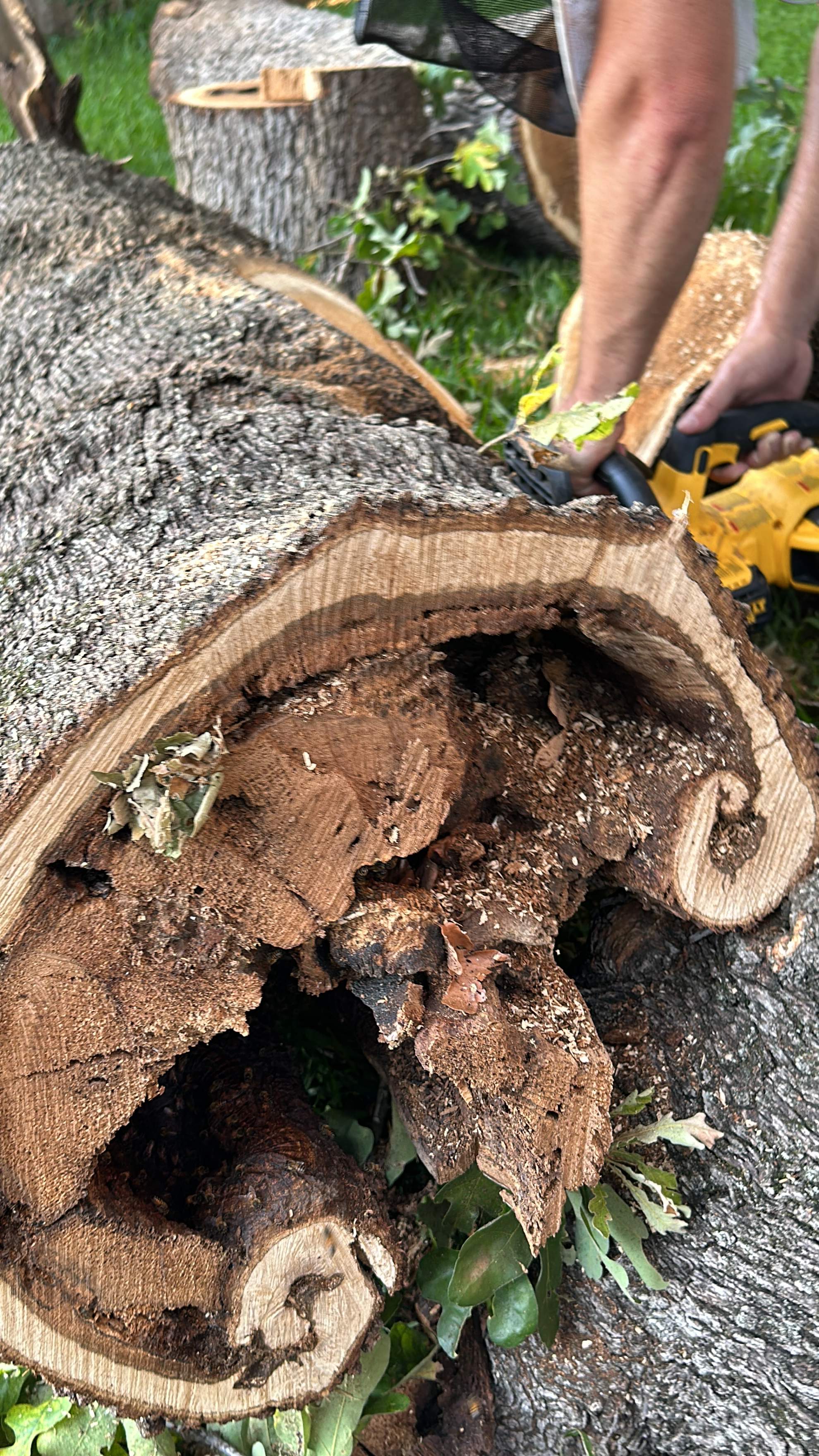 Wina-tree-go by Rockwall Honey Bee Company