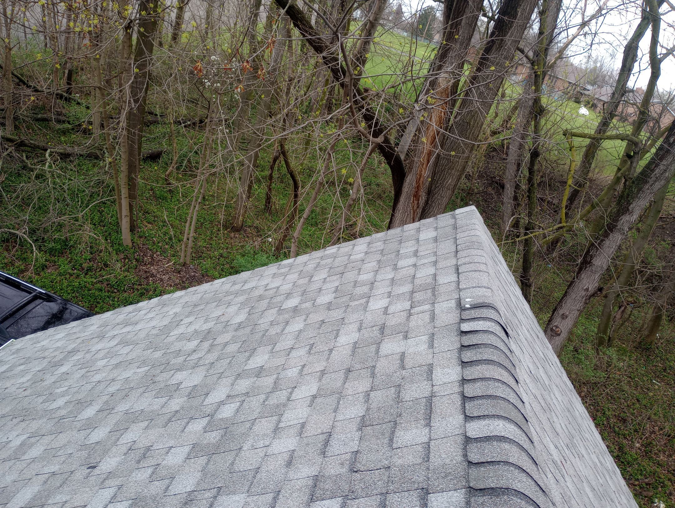 Margaret Phillpott by Silver Leaf Contracting 