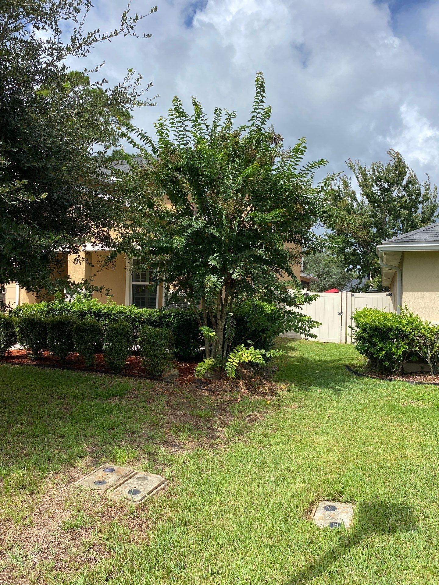 Property Clean Up | Residential by ProGreen Services