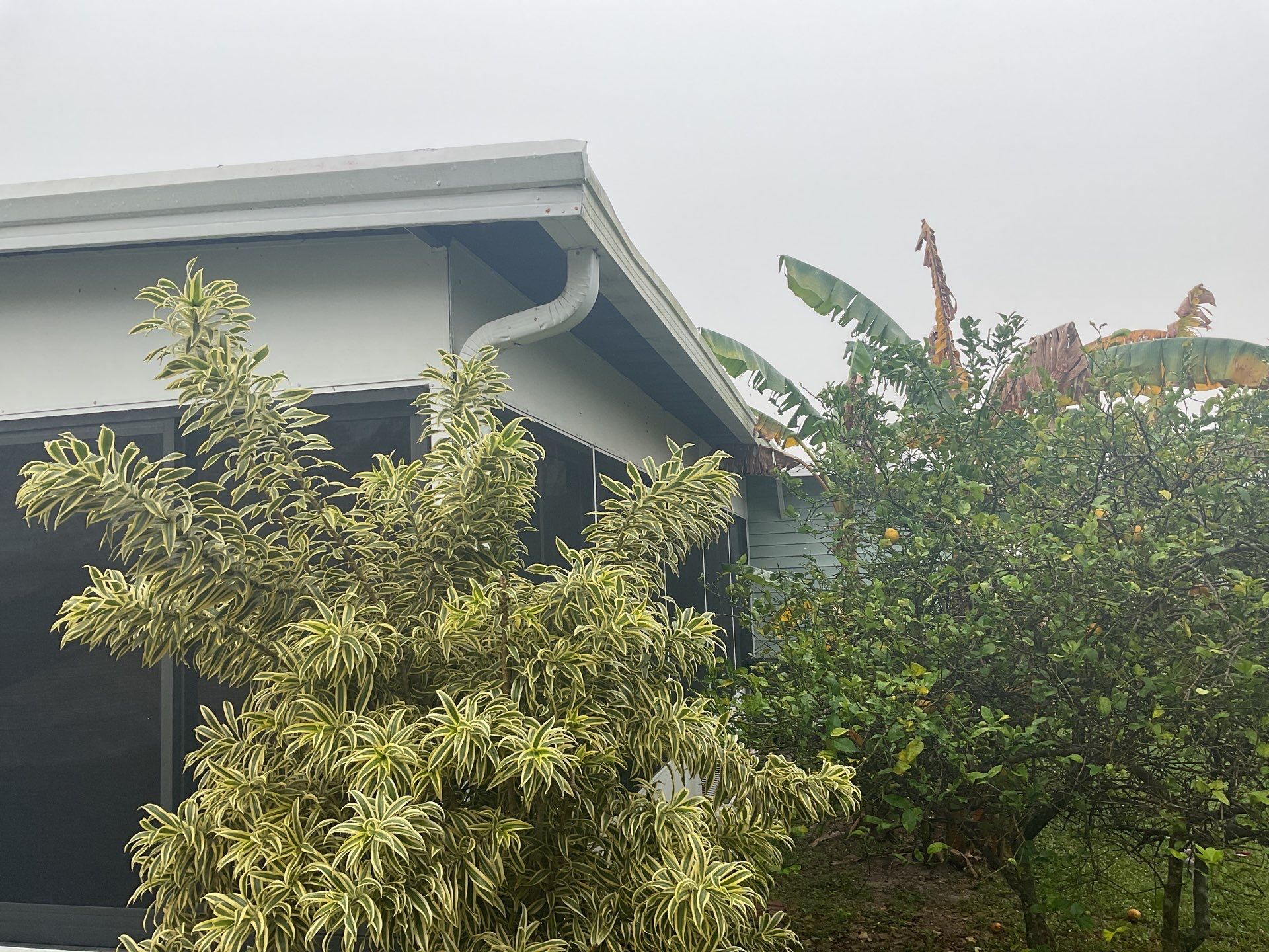 Cleaning Gutters in Fort Myers FL by Gutter Professors