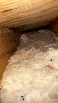 Garage by Rockwall Honey Bee Company