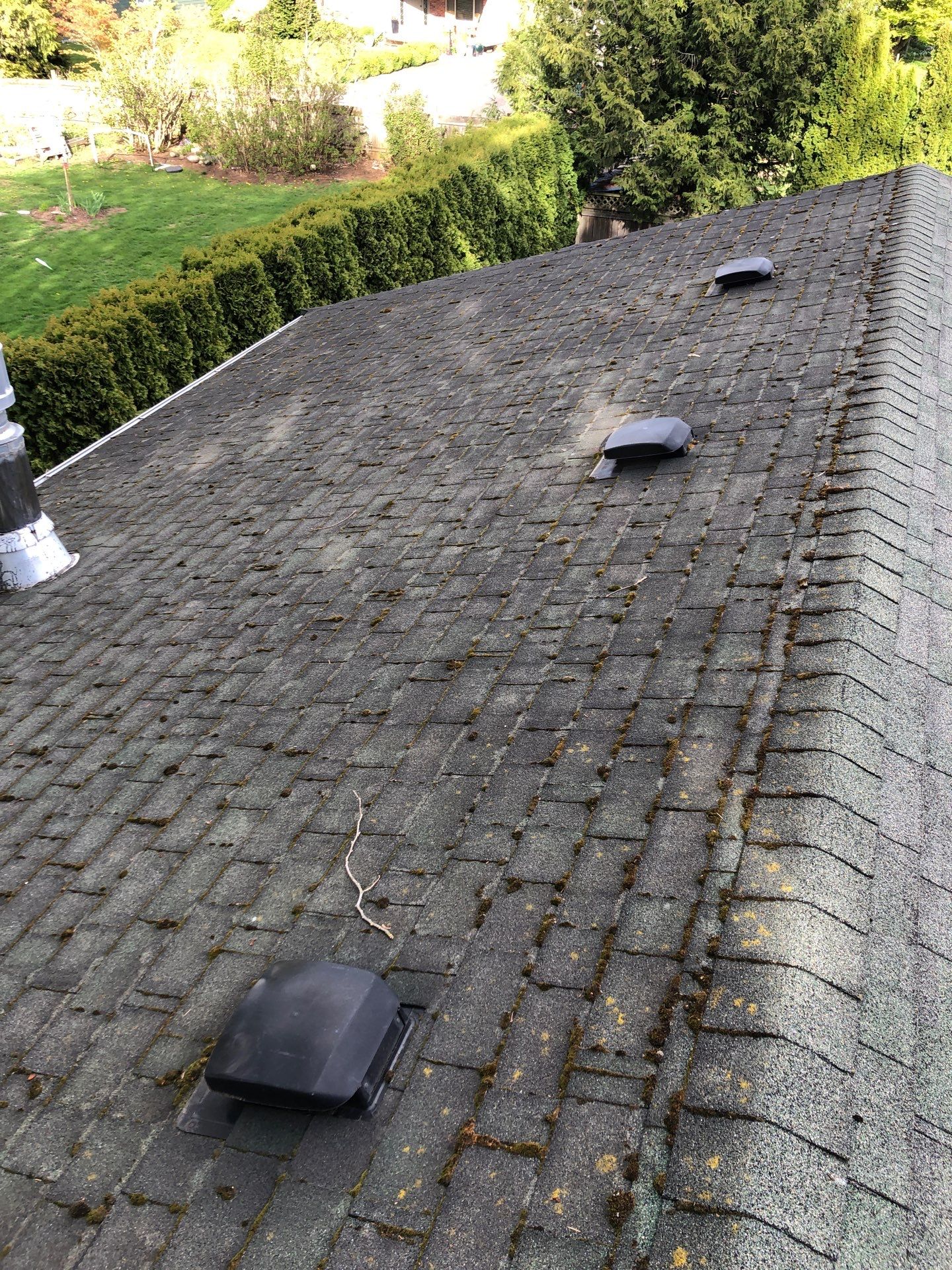 Project in Lynden by Peaks and Valleys Construction