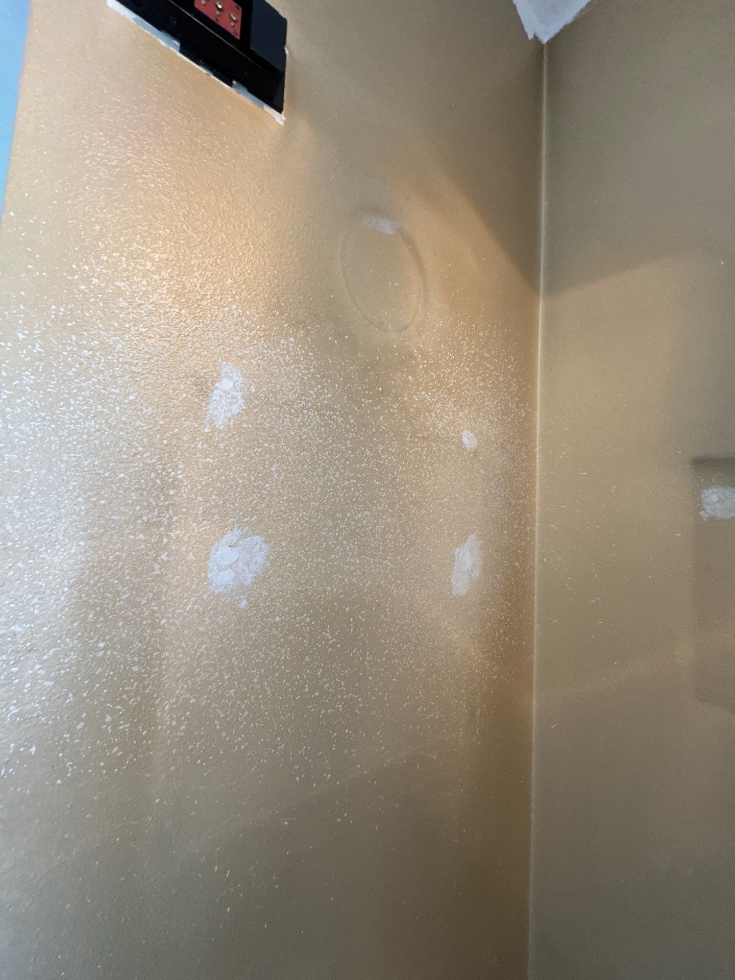 Project in Ankeny, IA by Midwest Paint LLC