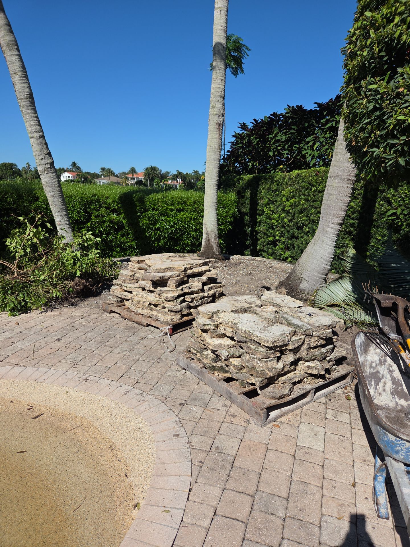 Hammock Creek Estate | Phase 1 – The Art of Precision Removal by Alpha Zeta Enterprises Inc