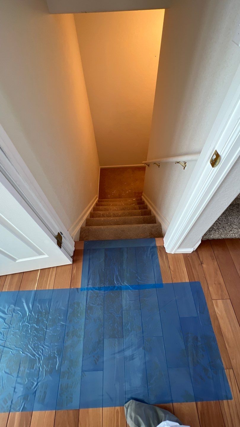 Mold Damage by Accountable Home Services