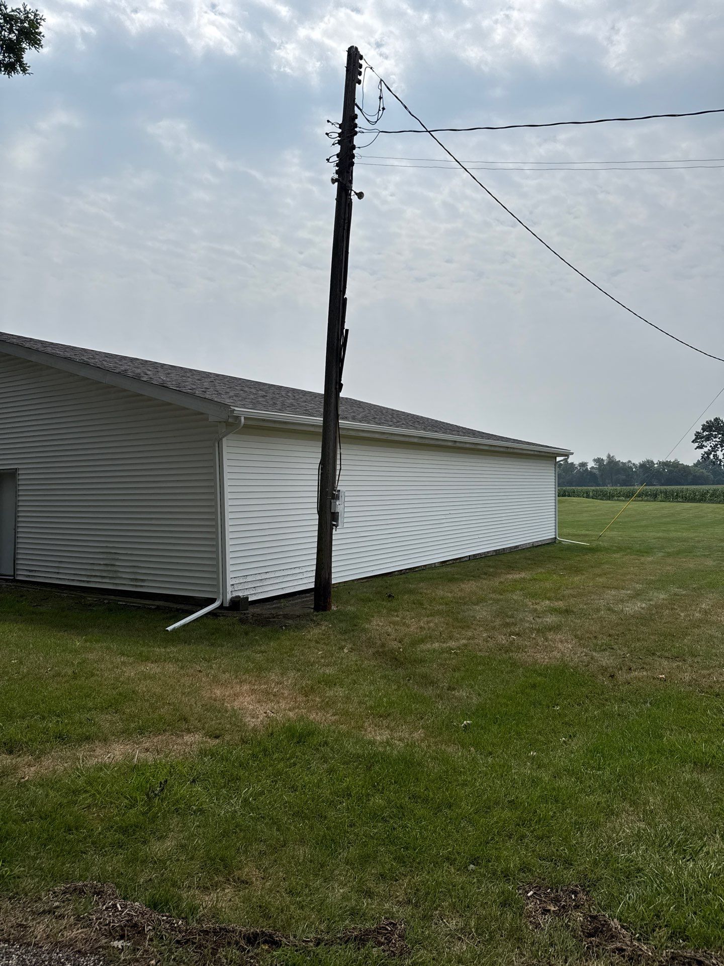 Williamston by Sunrise Seamless