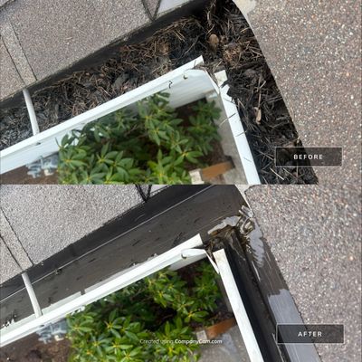 Major Gutter Cleanup - Keizer