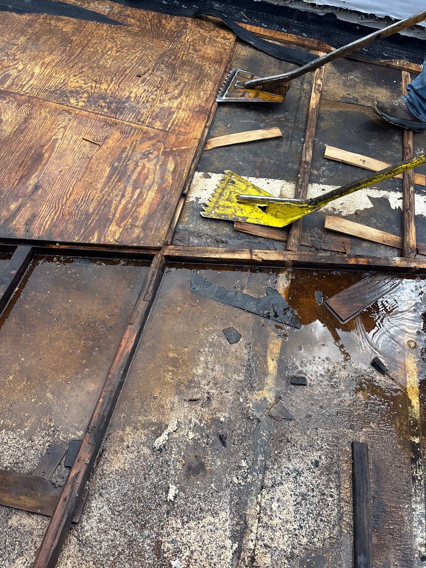 TPO Roof Replacement Project in Philadelphia, Pennsylvania by Philadelphia Quality Roofing