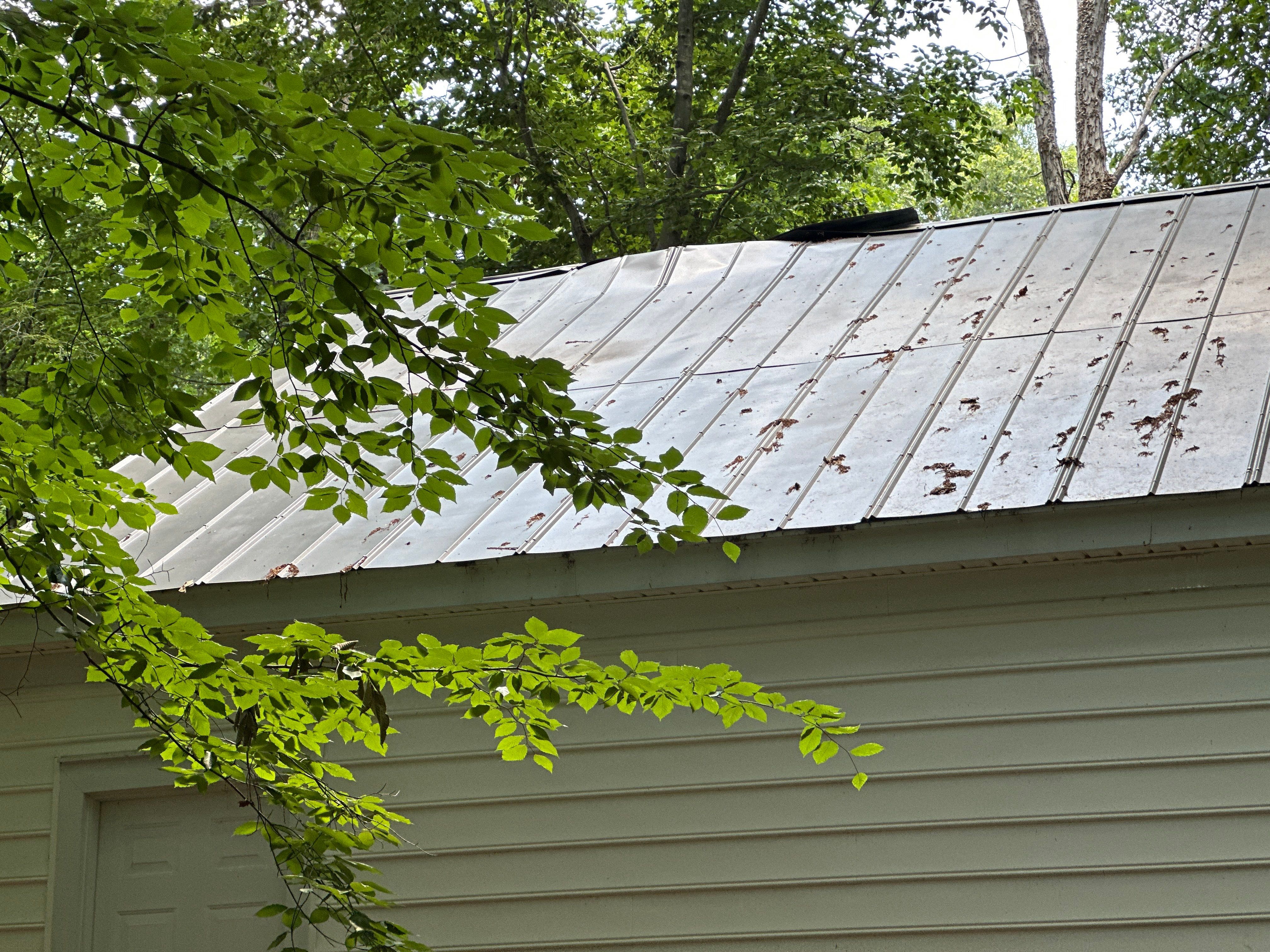 Roof Replacement by D.L. Williams Roofing