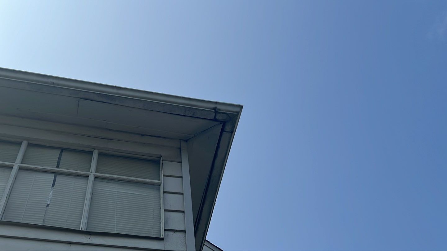 Tiffany Willis by Silver Leaf Contracting 